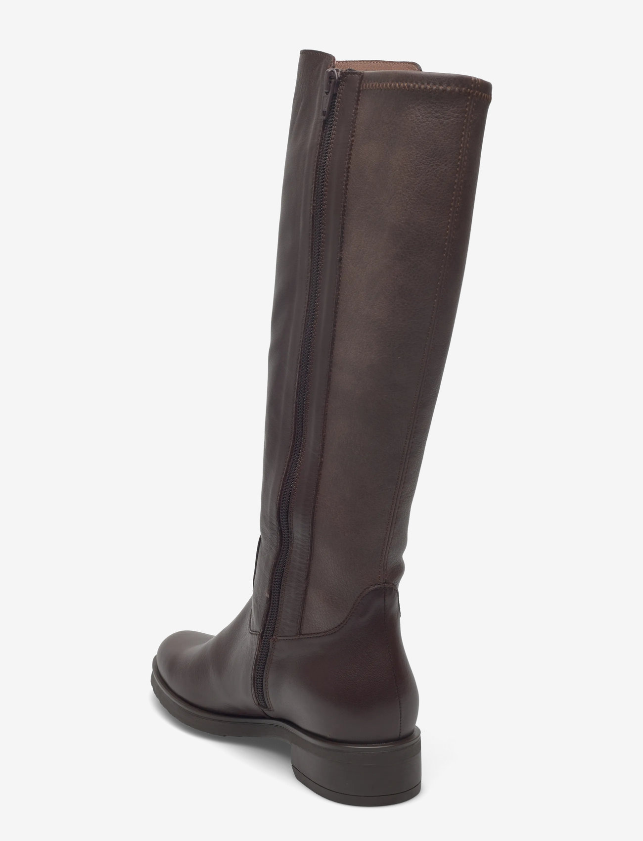 Wonders - CODIGREE 00 - damen - testa/marr - 2