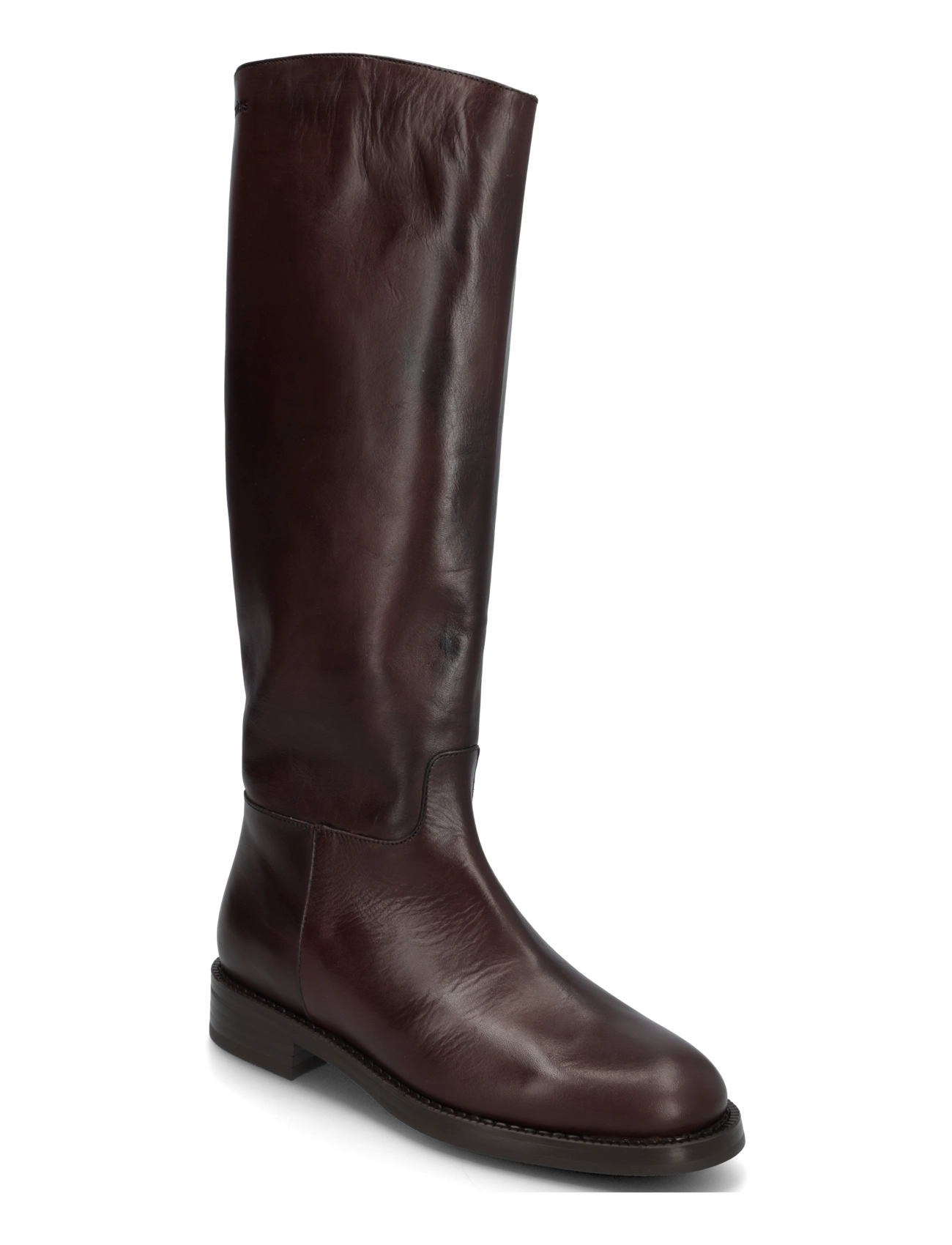 Wonders RWONDERS 03 - Wonders - FLASH TESTA / brown