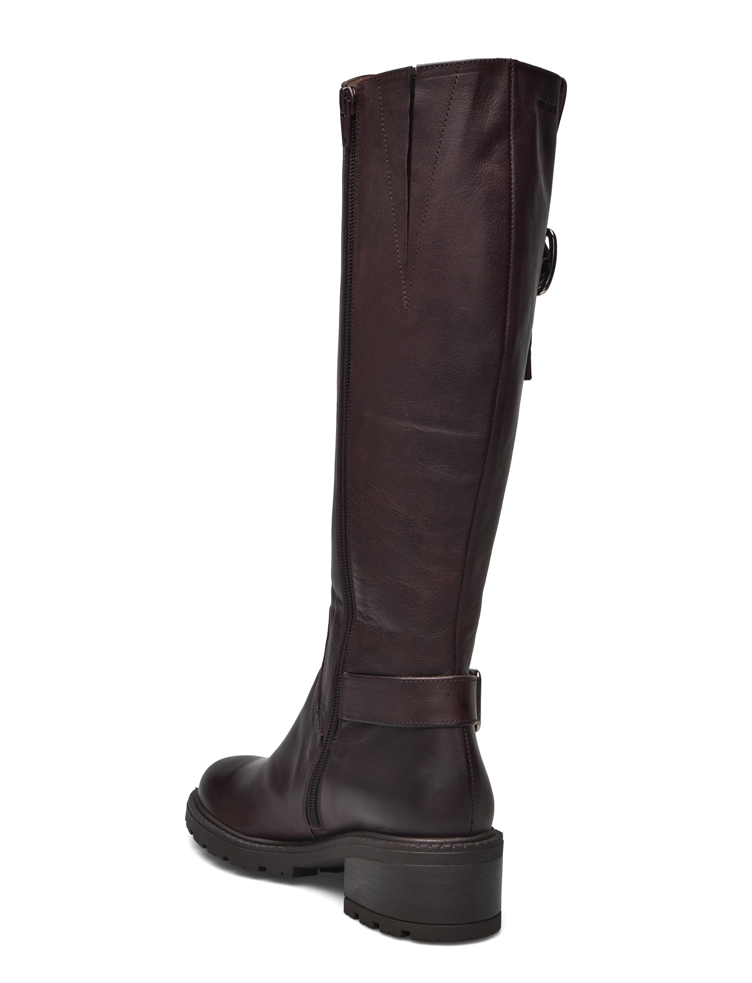 Isolda 3