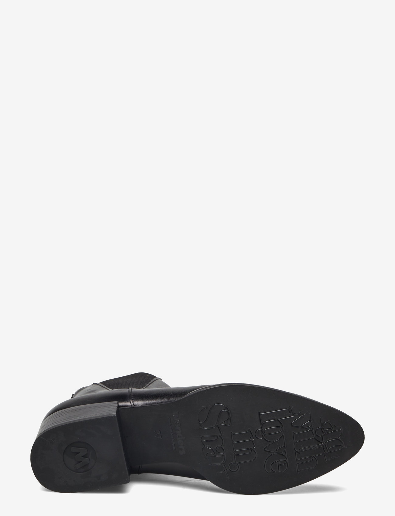 Wonders - EST - oregon    negro - 4