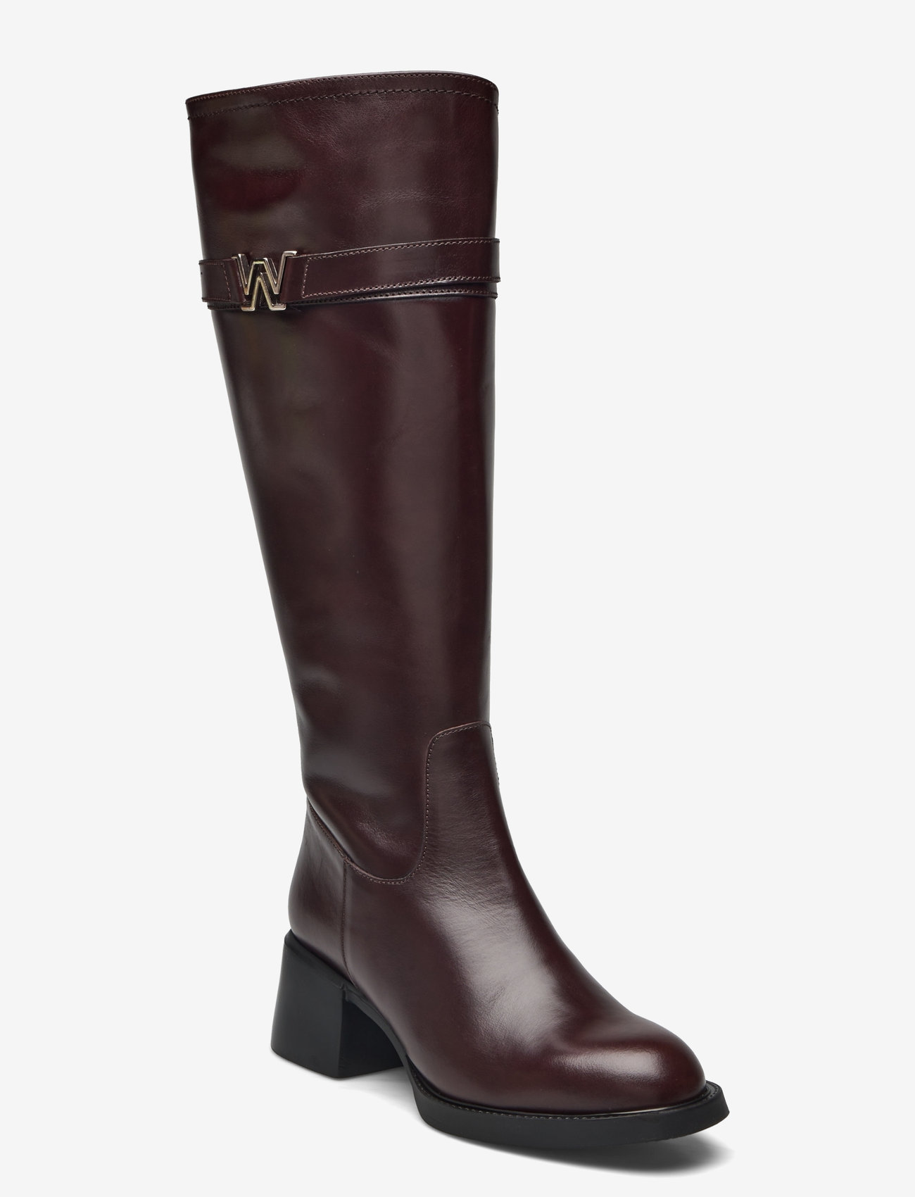 Wonders - ANTONIA - oregon    testa - 0