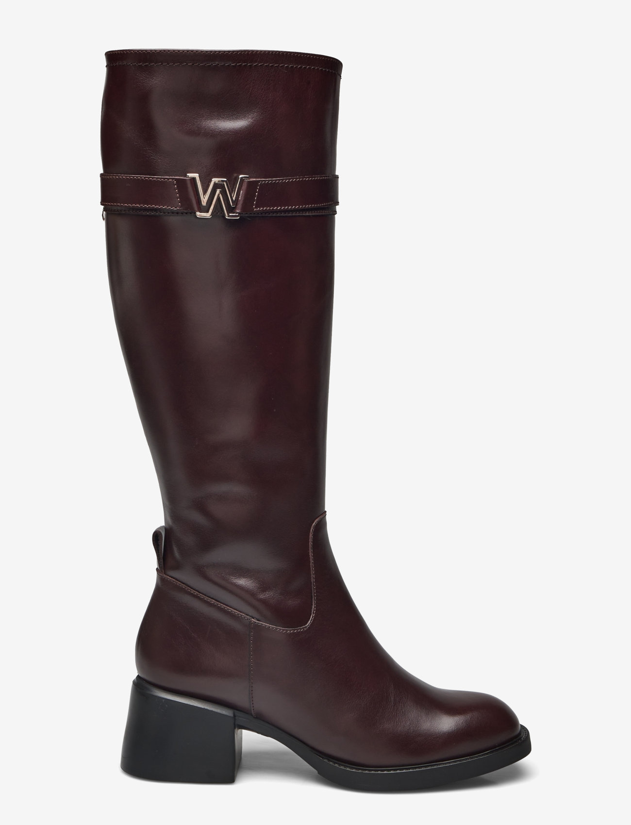 Wonders - ANTONIA - oregon    testa - 1