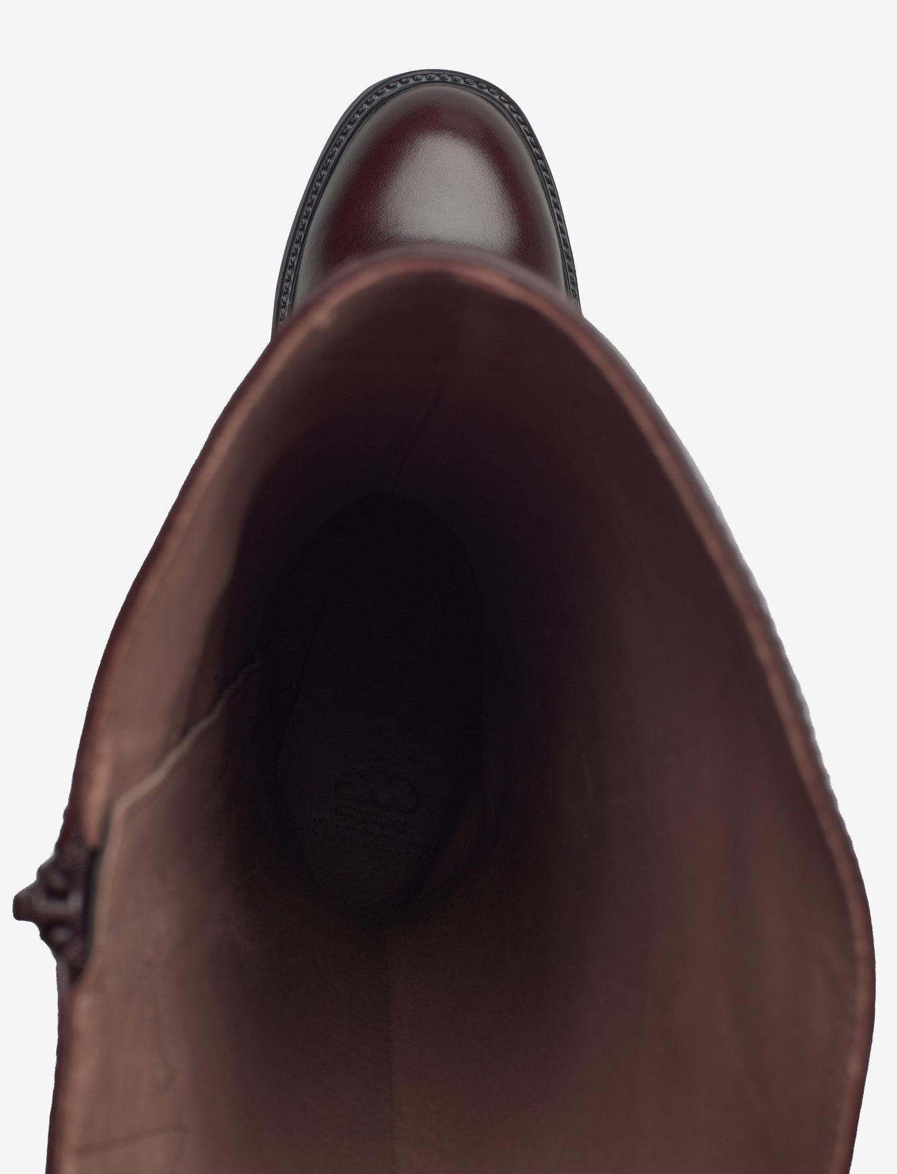 Wonders - ANTONIA - oregon    testa - 3