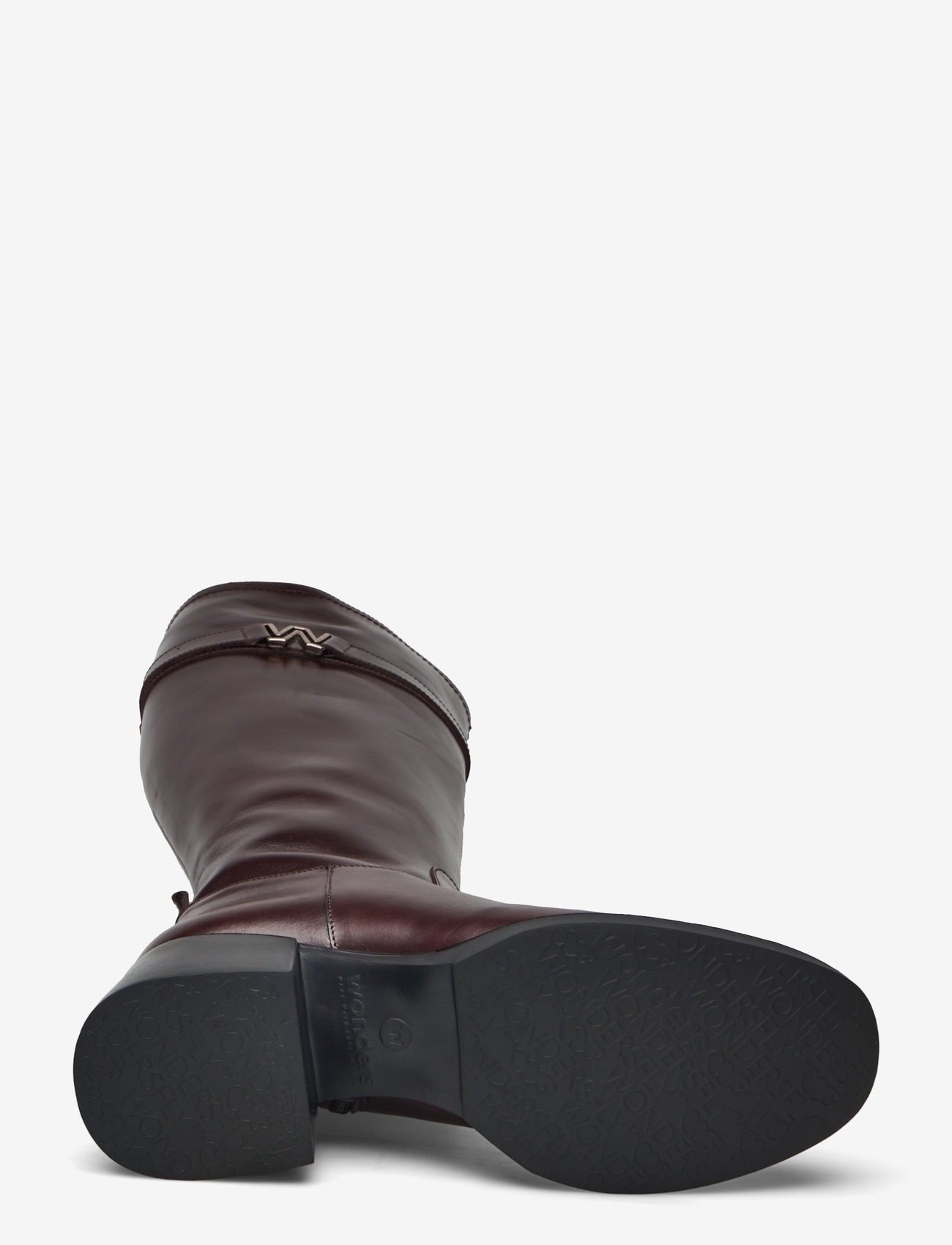 Wonders - ANTONIA - oregon    testa - 4