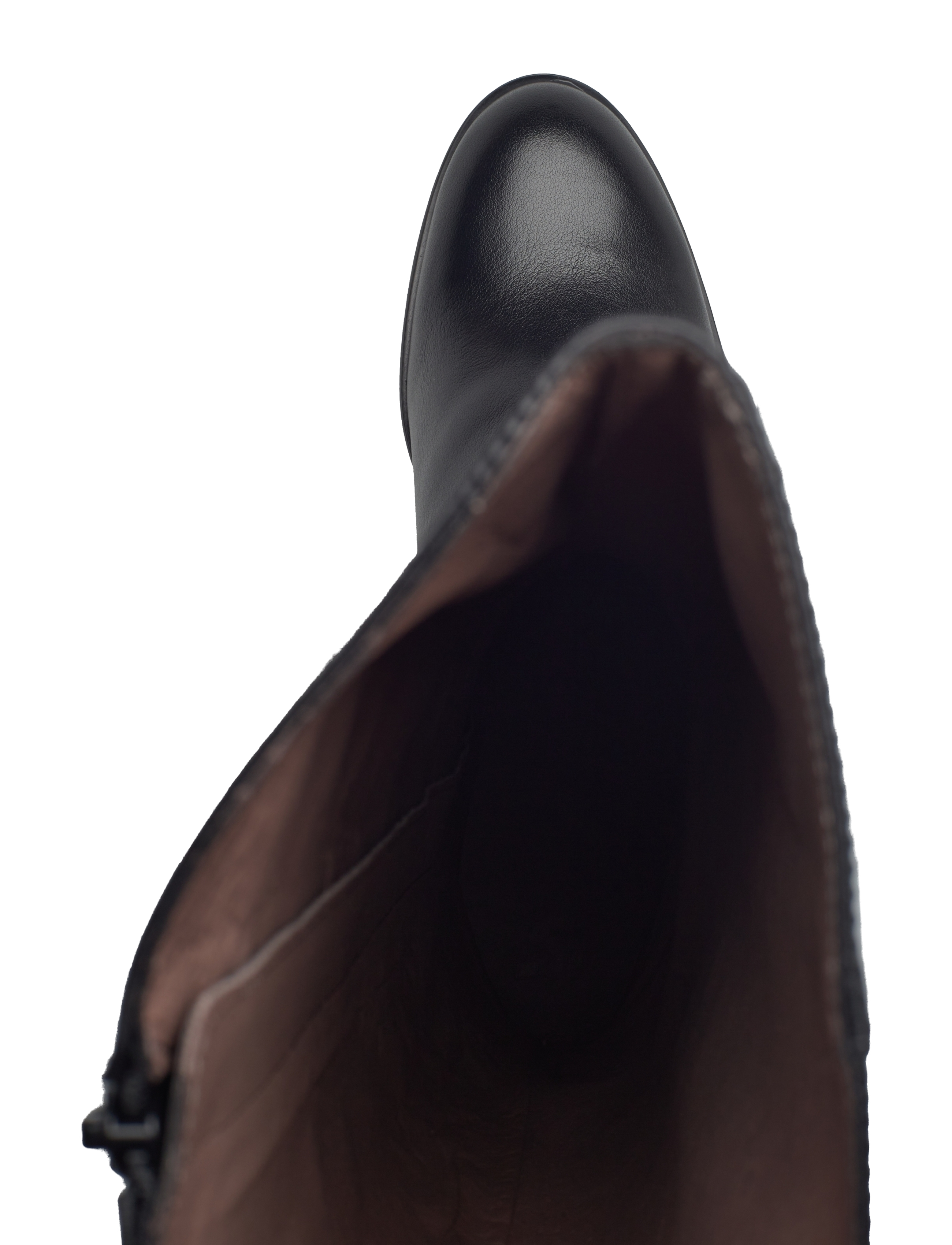 Topo 4