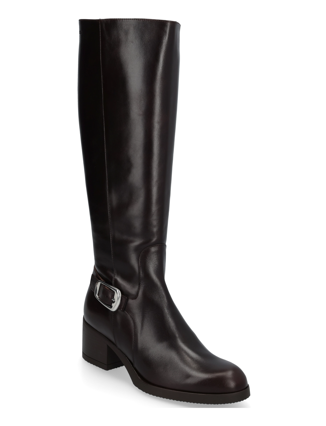 OREGONLUX TESTA