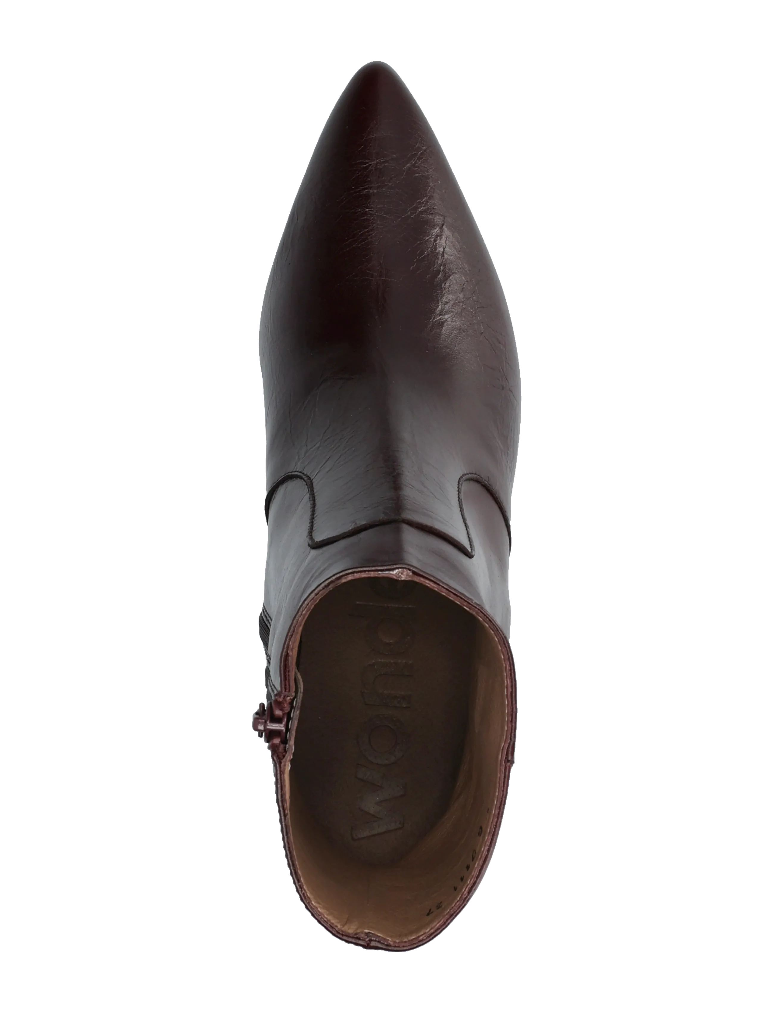 Wonders - FLEXFIT 11 - heeled ankle boots - talis vino - 3