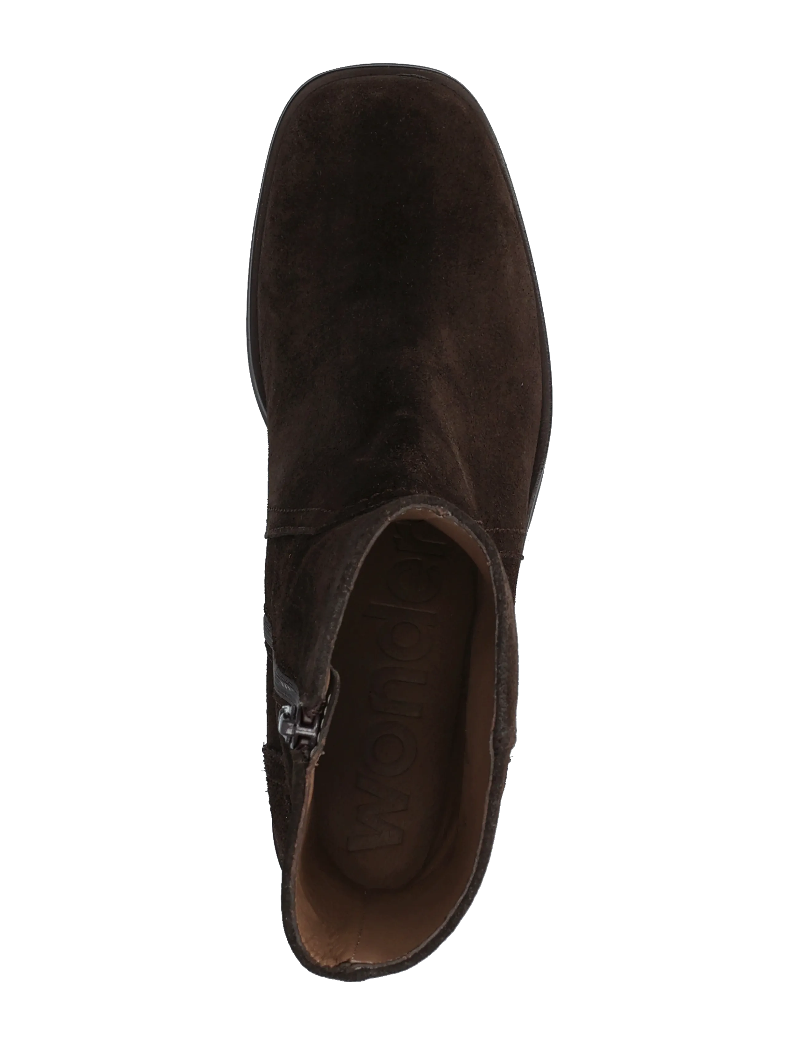 Wonders - TADITA 11 - heeled ankle boots - charme testa - 3