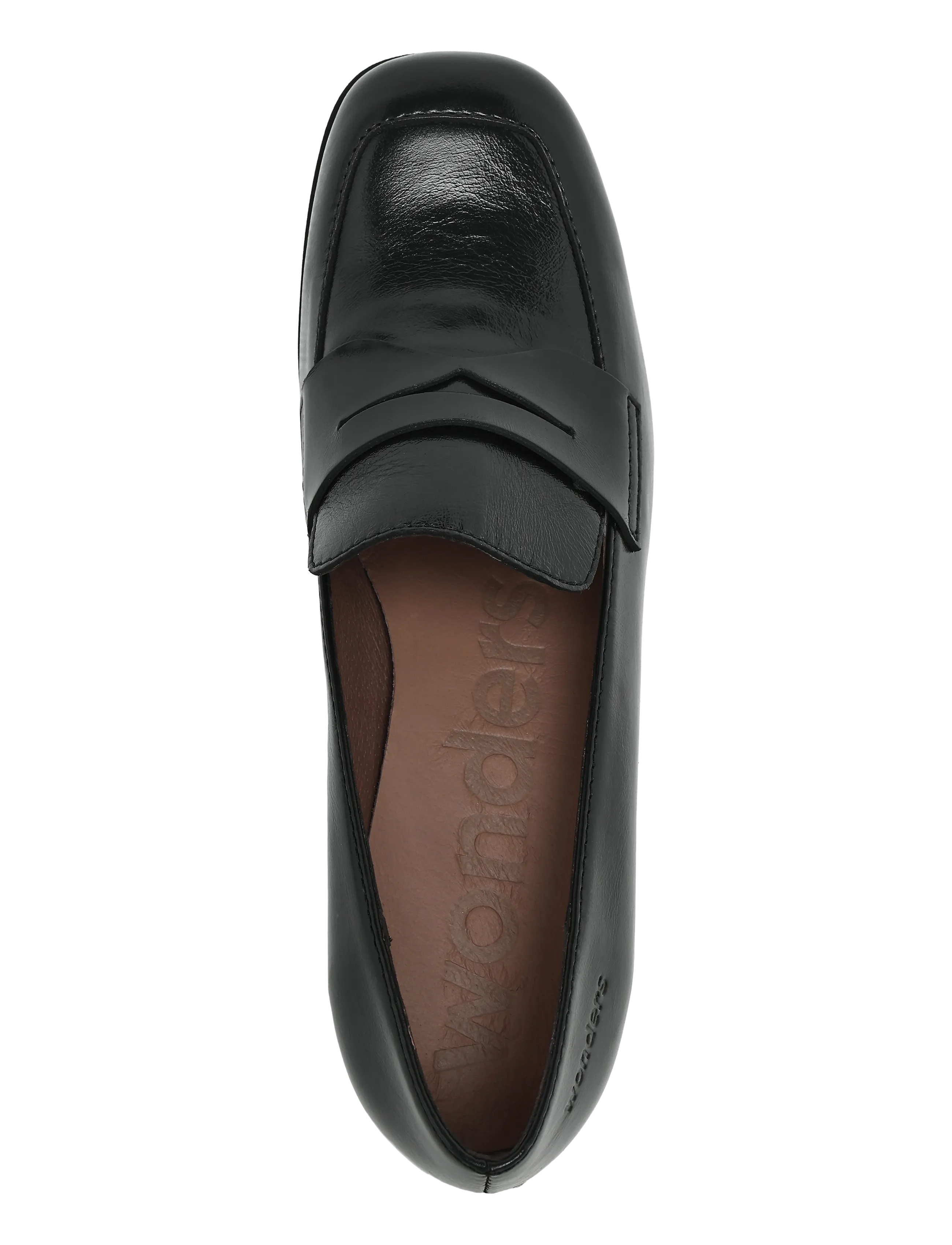 Wonders - ELIA 02 - moetrendid - talis negro - 2