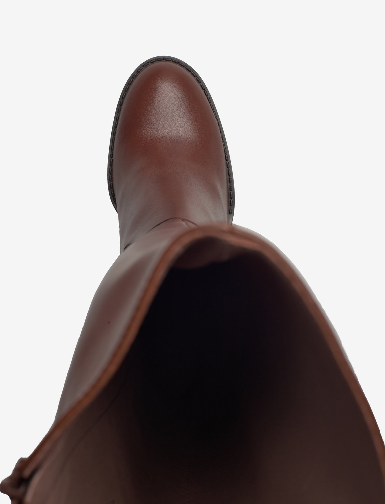 Wonders - MATE - isy       spaniel - 3