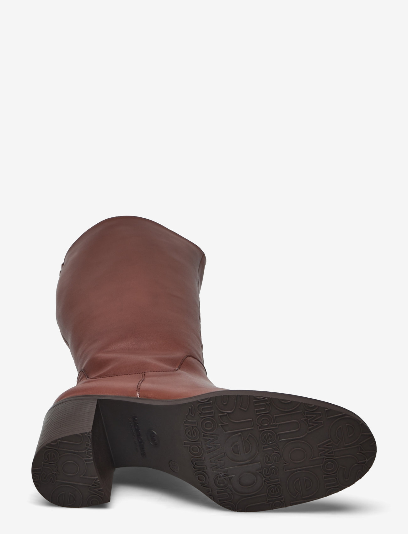 Wonders - MATE - isy       spaniel - 4