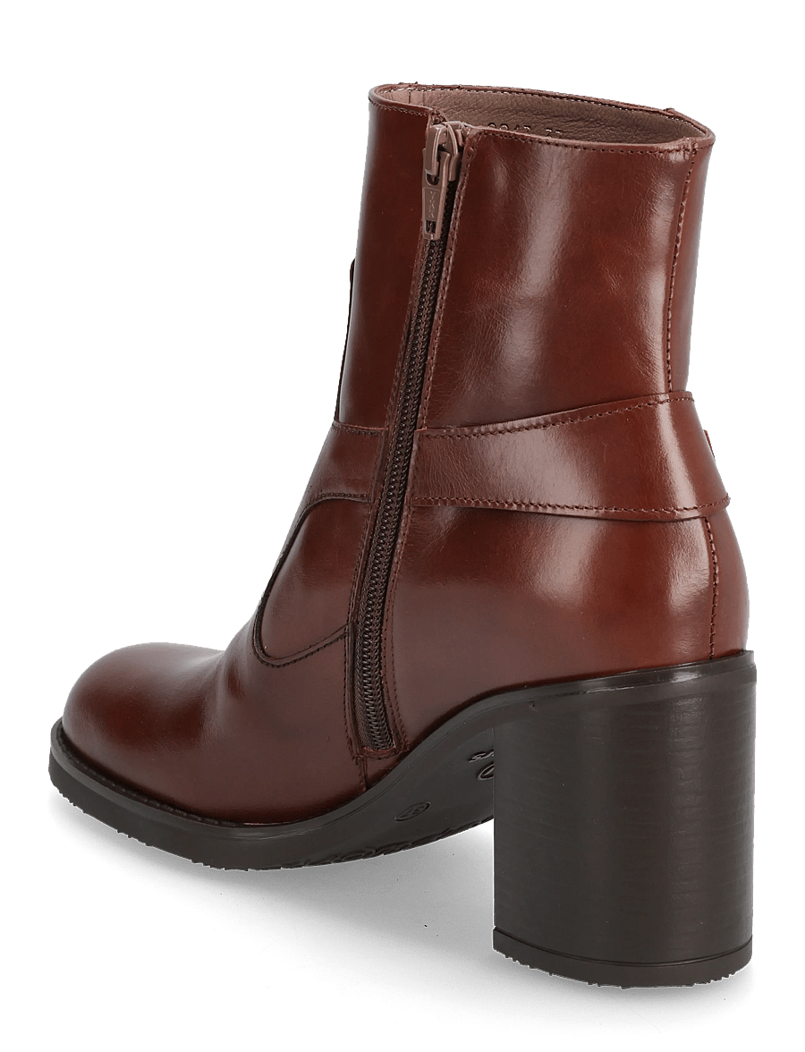 Wonders - REMACHE 13 - stiefeletten mit absatz - marron - 2
