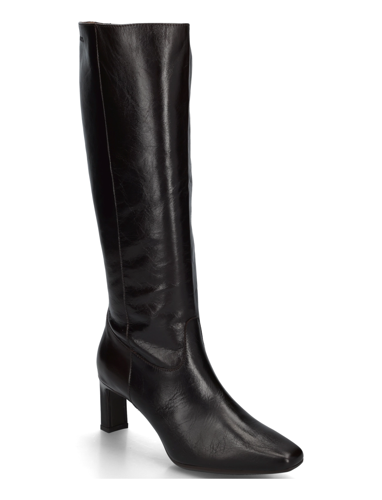 Wonders VITA 03 - Wonders - TALIS TESTA / brown