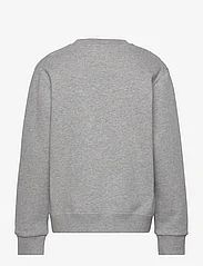 Double A by Wood Wood - Rod kids sweatshirt GOTS - sweatshirts - grey melange - 1