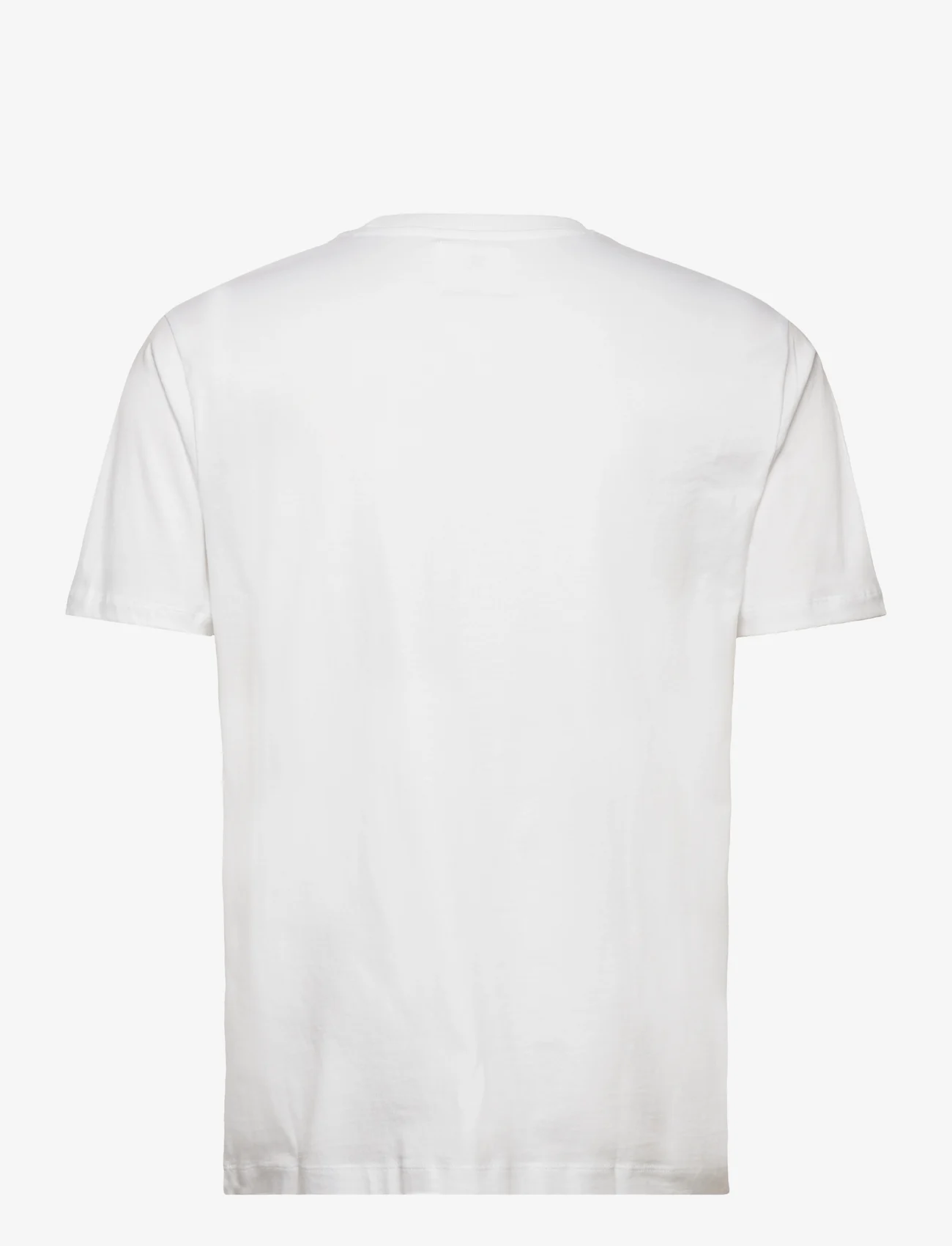Double A by Wood Wood - Ace IVY T-shirt GOTS - kortærmede t-shirts - white - 1
