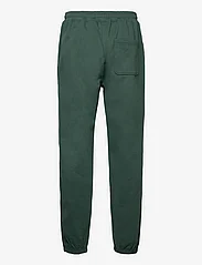 Double A by Wood Wood - Cal joggers - sportinės kelnės - forest green - 1