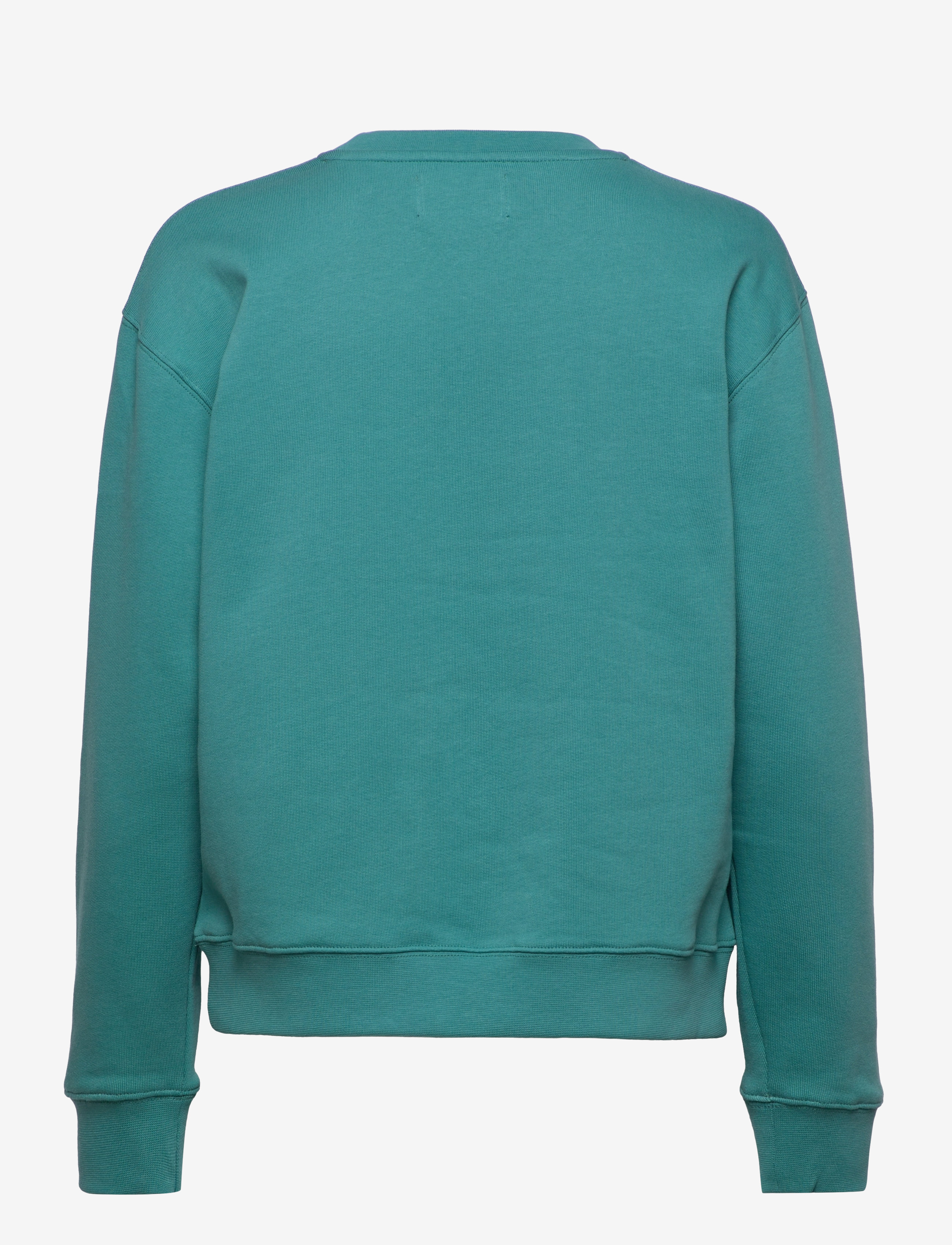WOOD WOOD - Jess sweatshirt - hoodies - teal - 1