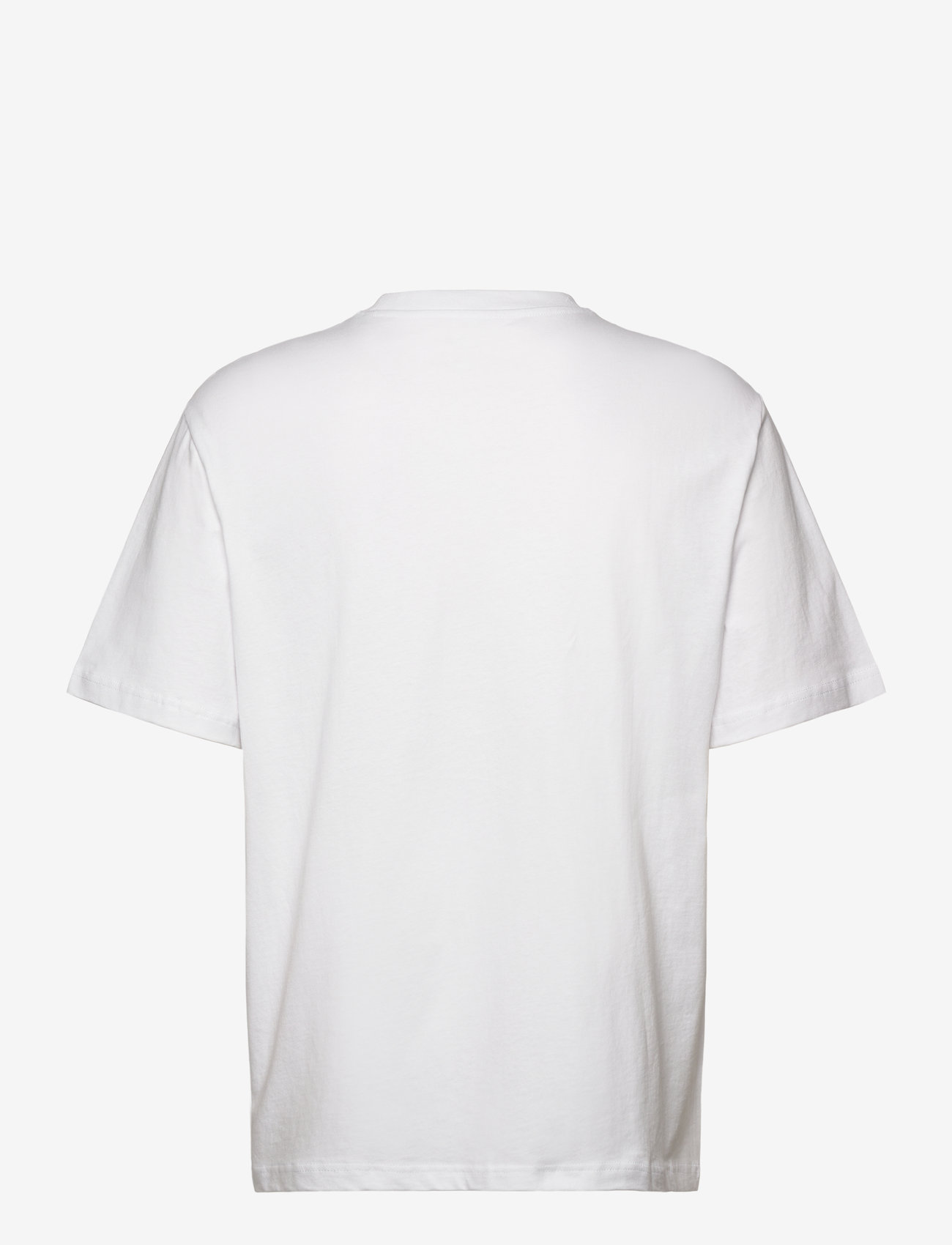 WOOD WOOD - WWAsa Humaan Tshirt - kortærmede t-shirts - white - 1