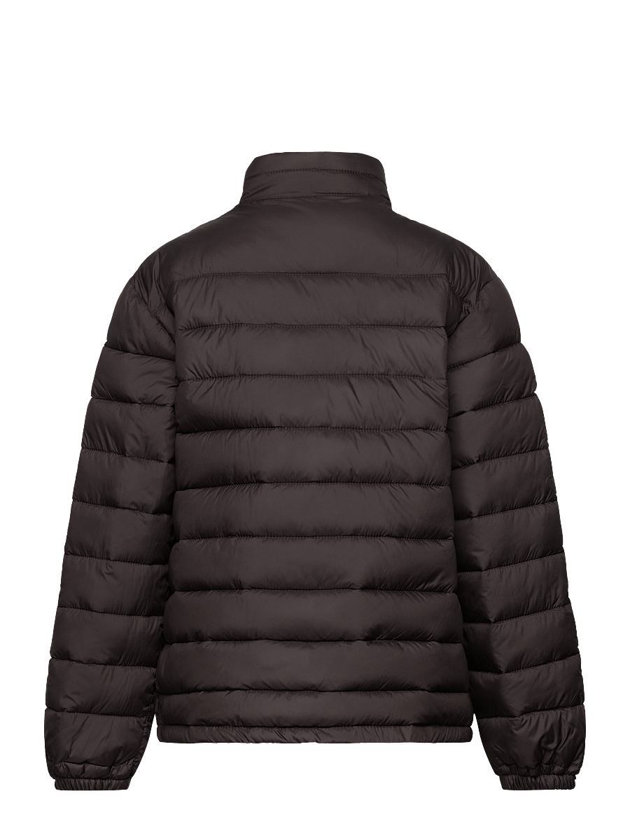 WOOD WOOD - Tris junior padded jacket - winterjacke - black coffee - 1
