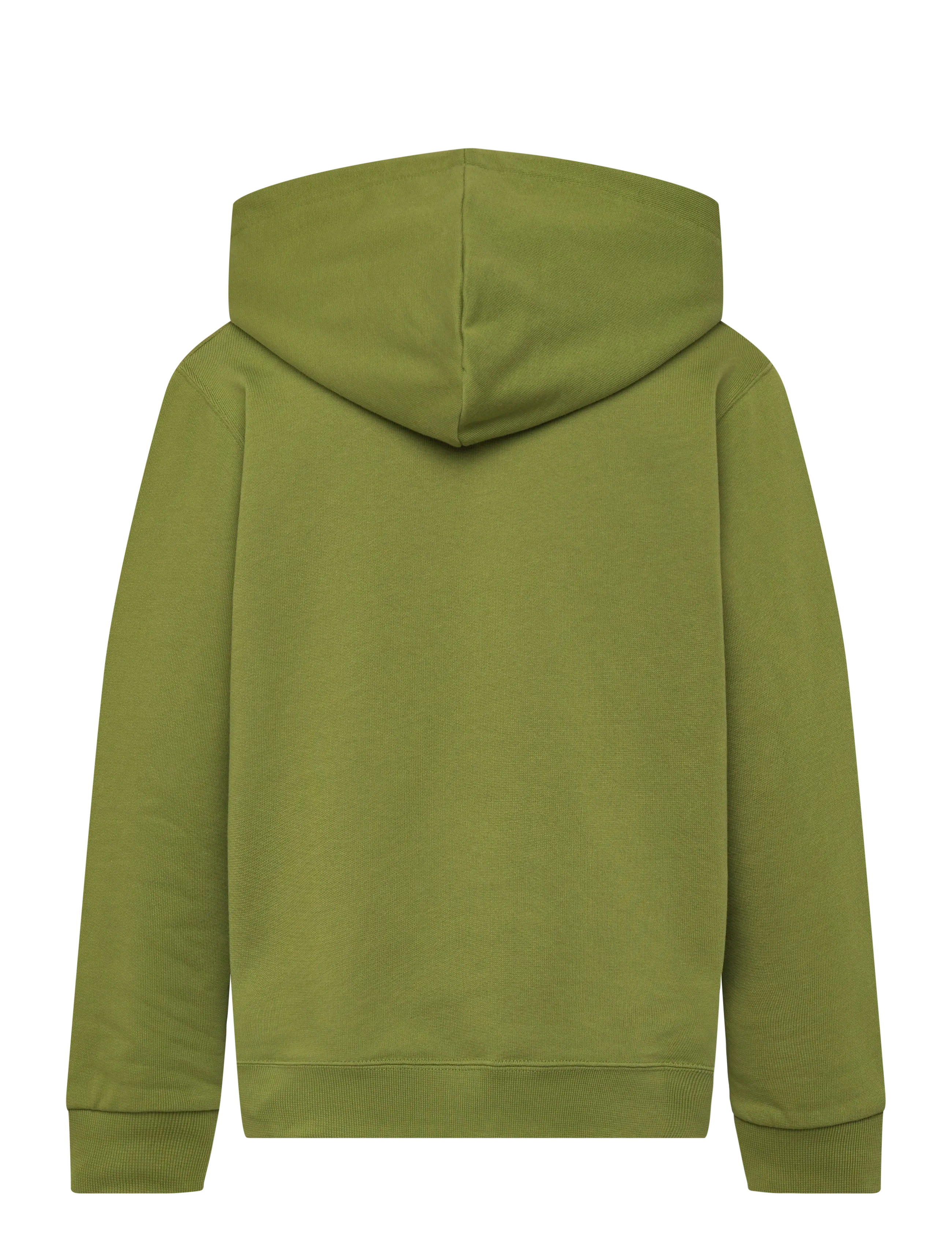 WOOD WOOD - WWIzzy Chrome Combo Hoodie GOTS - kapuzenpullover - fatique green - 1