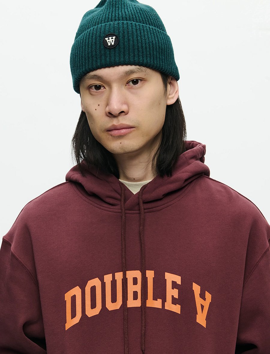 WOOD WOOD - WWJames hoodie AAarc 25219 - hoodies - decadent chocolate - 4
