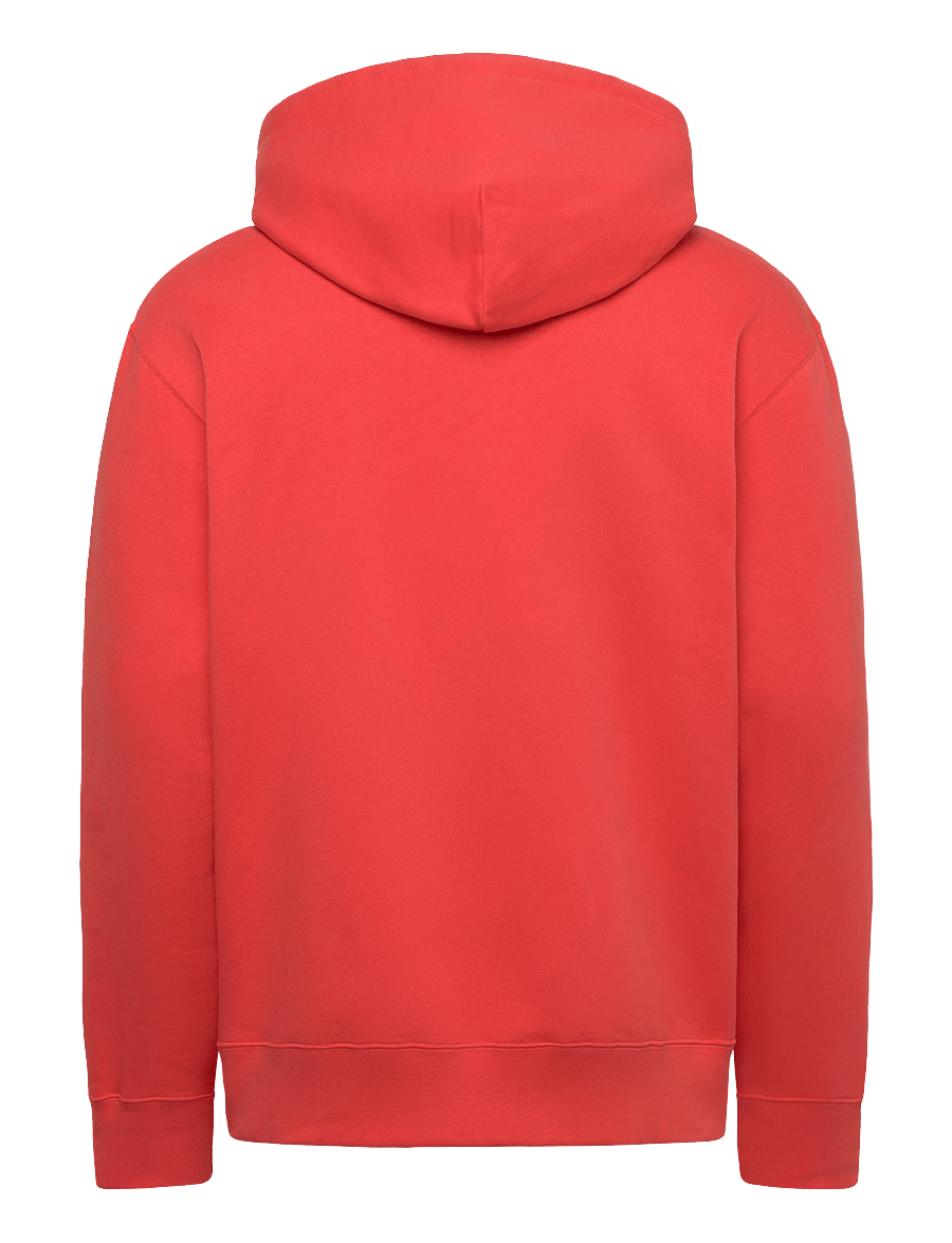WOOD WOOD - WWCass AA print hoodie 25219 - kapuzenpullover - poinciana - 2