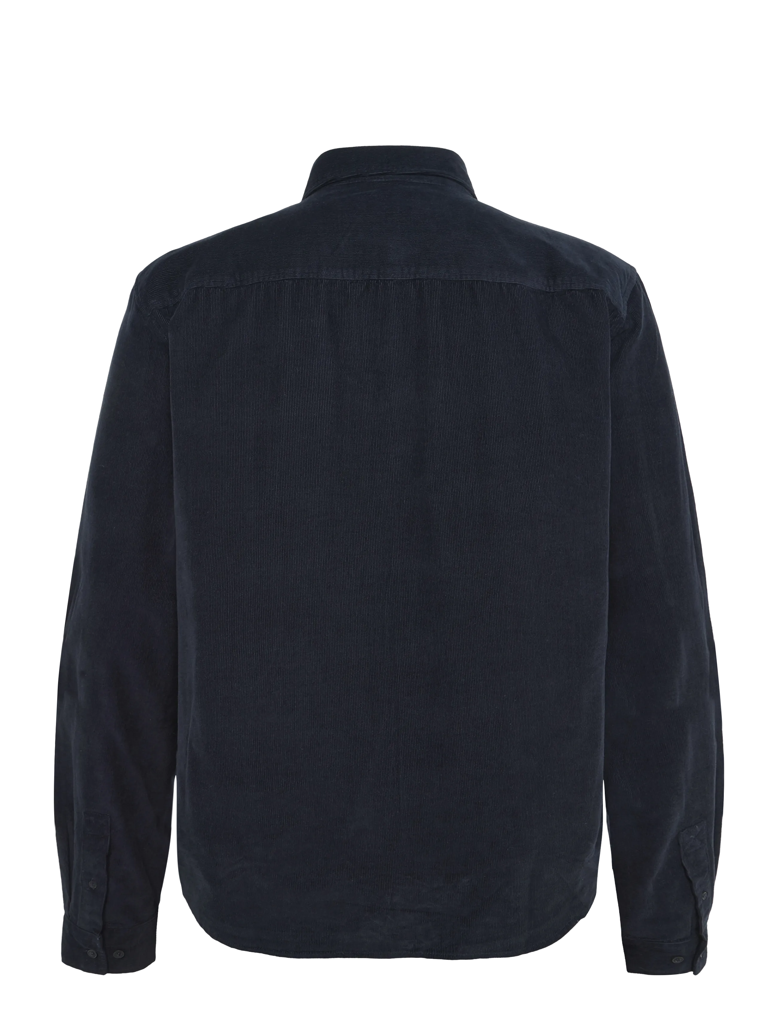 WOOD WOOD - WWAdrian shirt 25445 - velvetsärgid - salute - 2