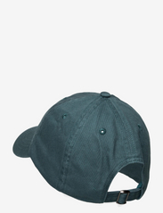 Double A by Wood Wood - Eli cap - caps - teal - 1