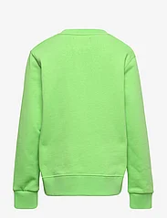 Wood Wood - Rod arch logo junior sweatshirt - sweatshirts & huvtröjor - pale green - 1