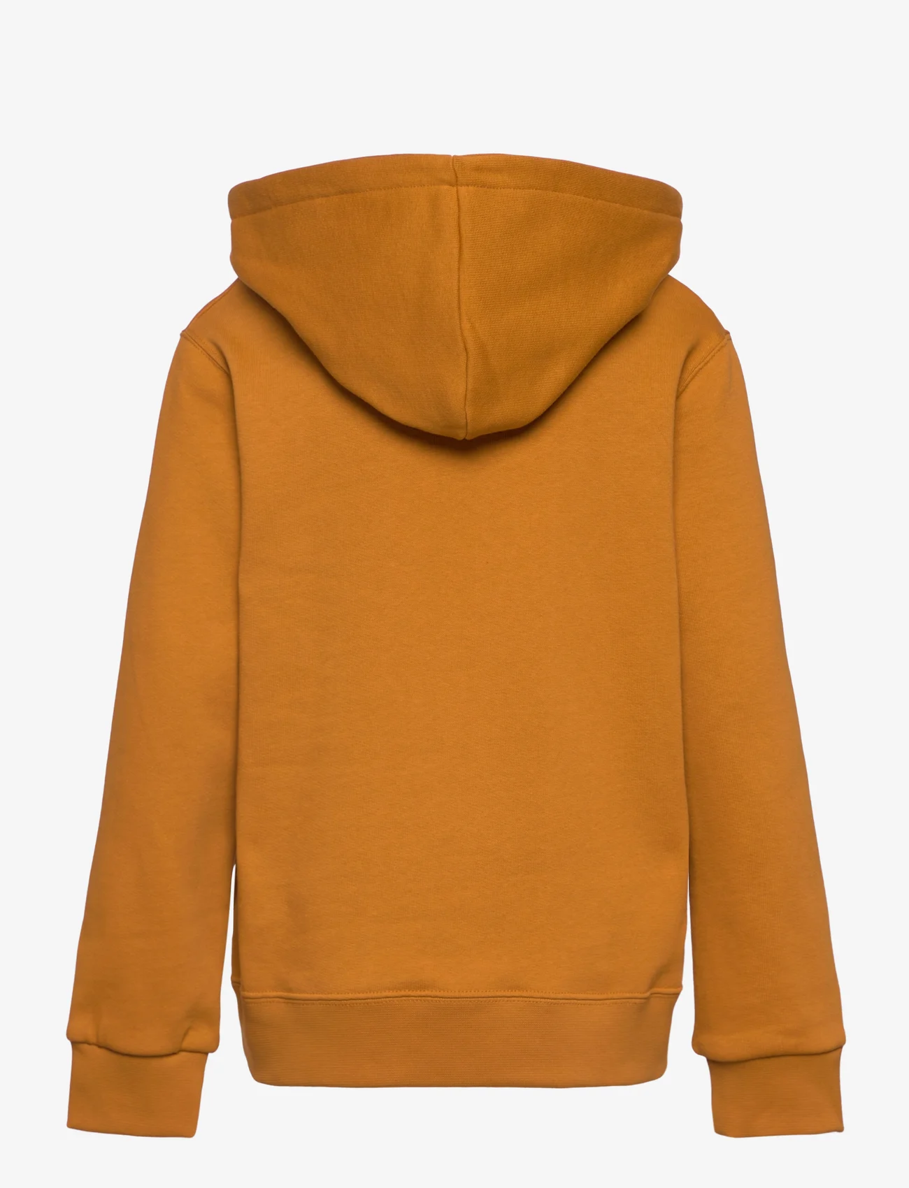 Wood Wood - Izzy kids IVY hoodie - kapuutsiga dressipluusid - golden brown - 1