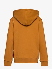 Wood Wood - Izzy kids IVY hoodie - medvilniniai megztiniai ir džemperiai su gobtuvu - golden brown - 1