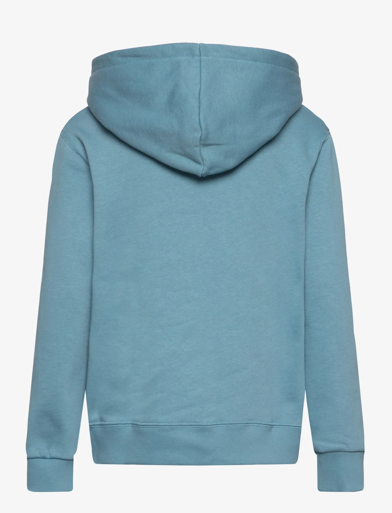 Wood Wood - Izzy kids IVY hoodie - medvilniniai megztiniai ir džemperiai su gobtuvu - sky blue - 1