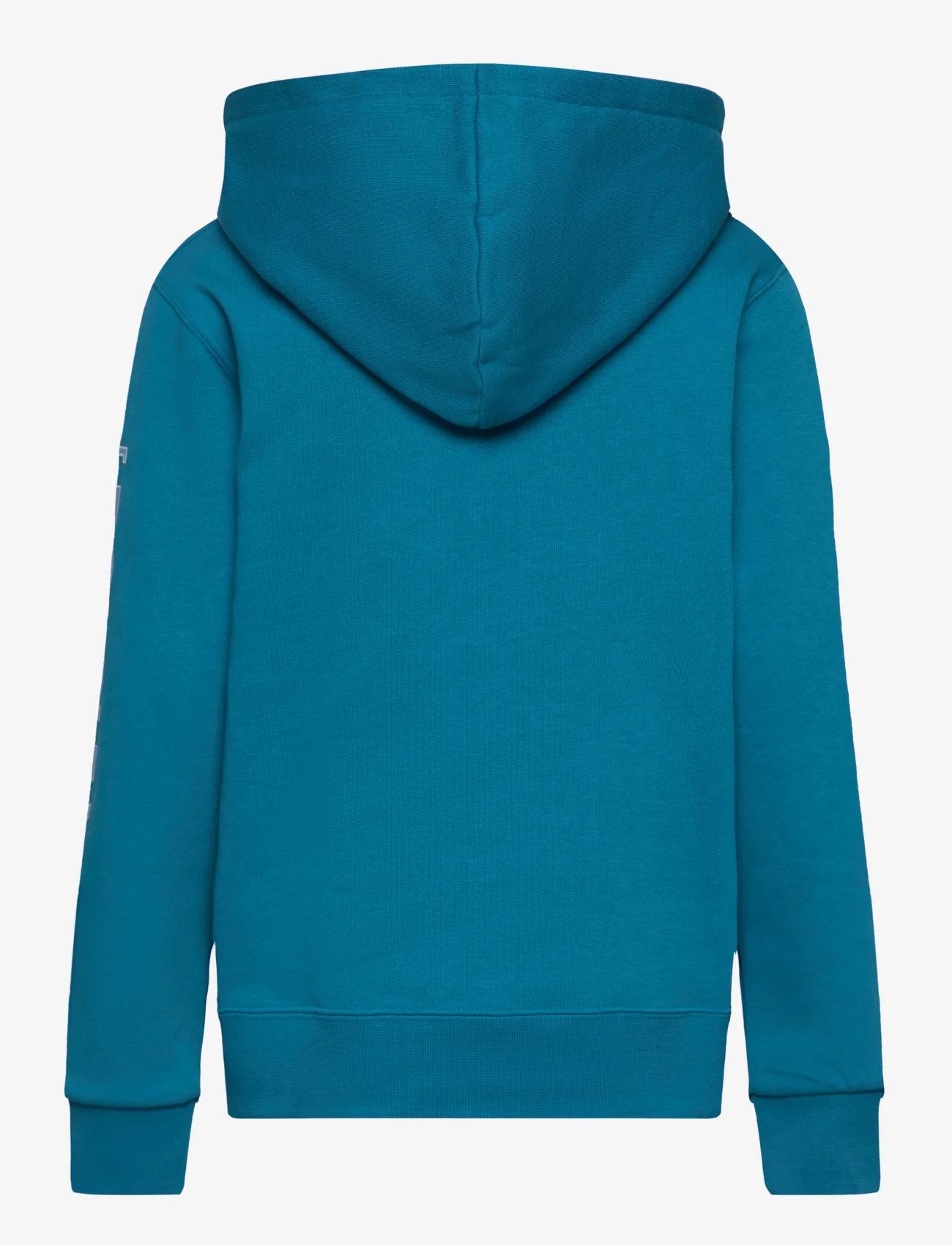 Wood Wood - Izzy kids sleeve print hoodie - medvilniniai megztiniai ir džemperiai su gobtuvu - blue - 1