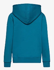 Wood Wood - Izzy kids sleeve print hoodie - sweatshirts & huvtröjor - blue - 1