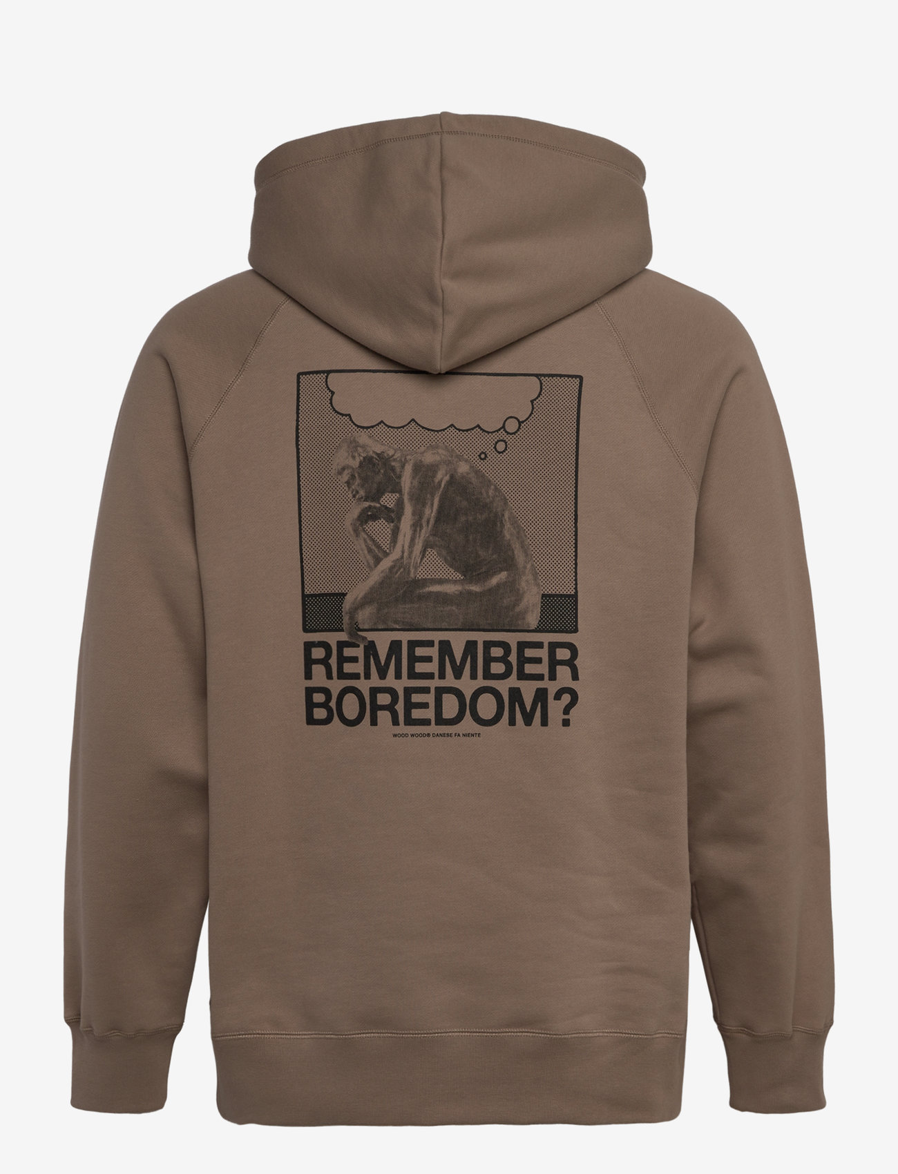 WOOD WOOD - WWFred Penseur Hoodie - hættetrøjer - desert - 1