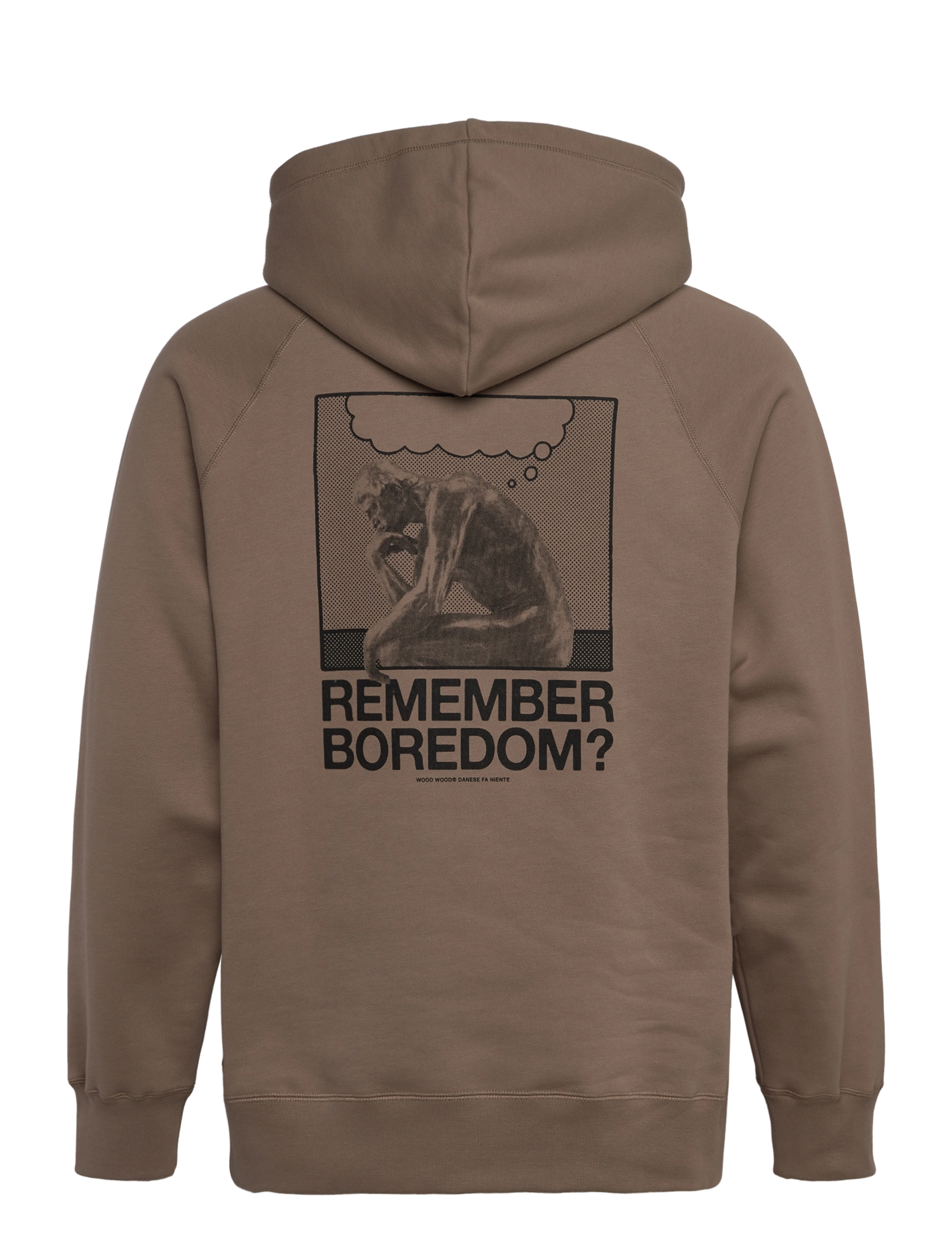 WOOD WOOD - WWFred Penseur Hoodie - hættetrøjer - desert - 1