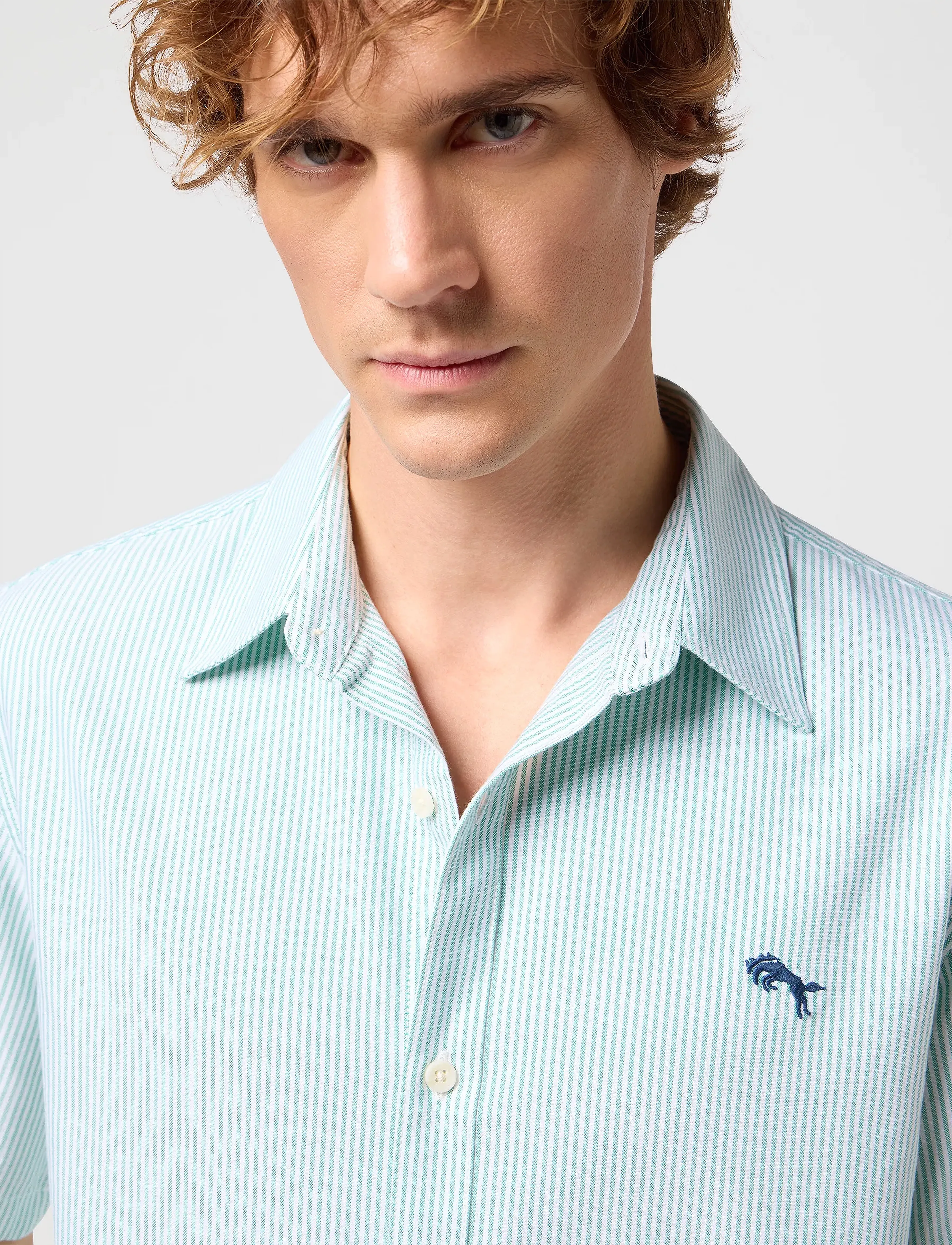 Wrangler - SS SHIRT - green stripe oxford - 5