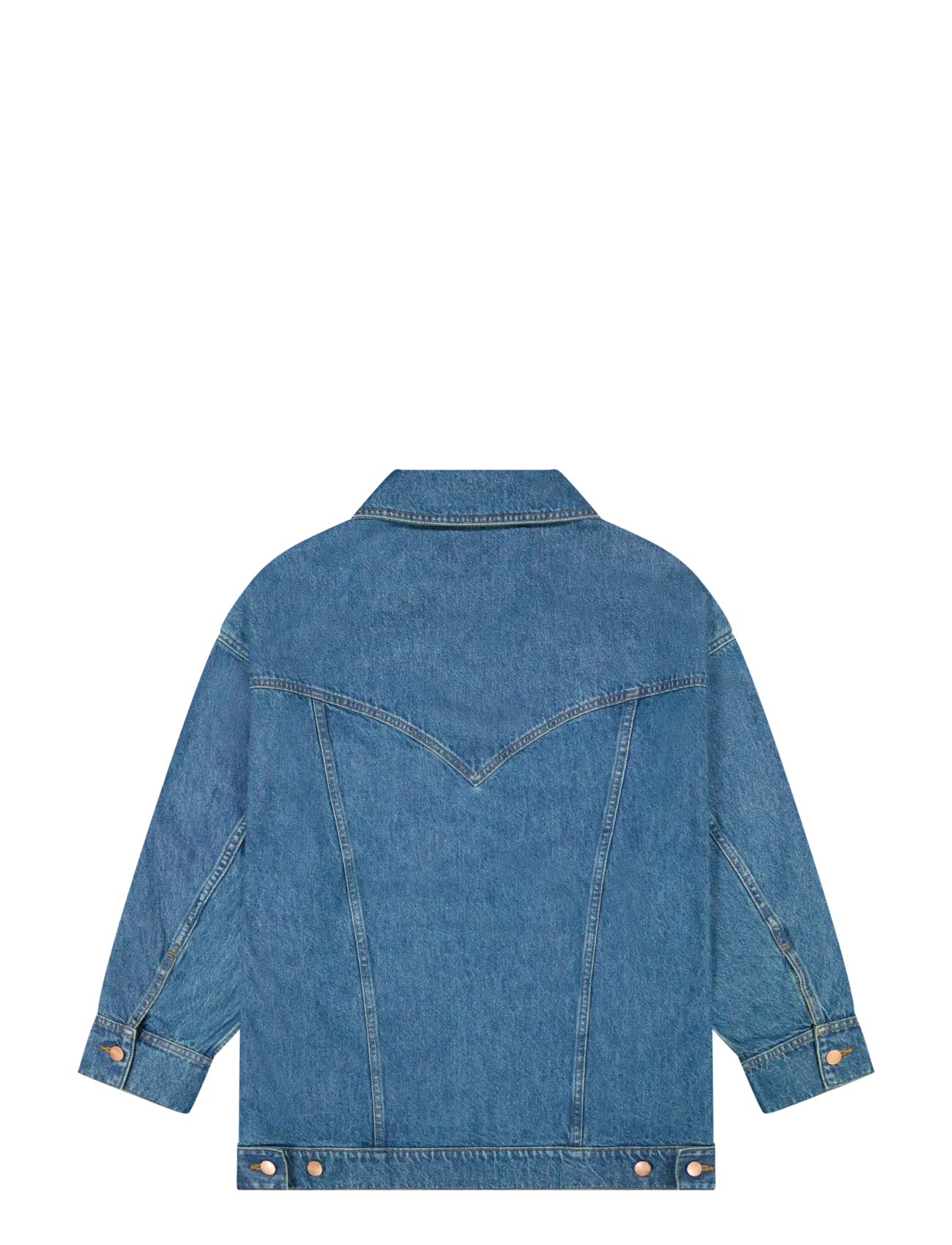 Wrangler - MEGA TRUCKER - ytterkläder - ace - 2