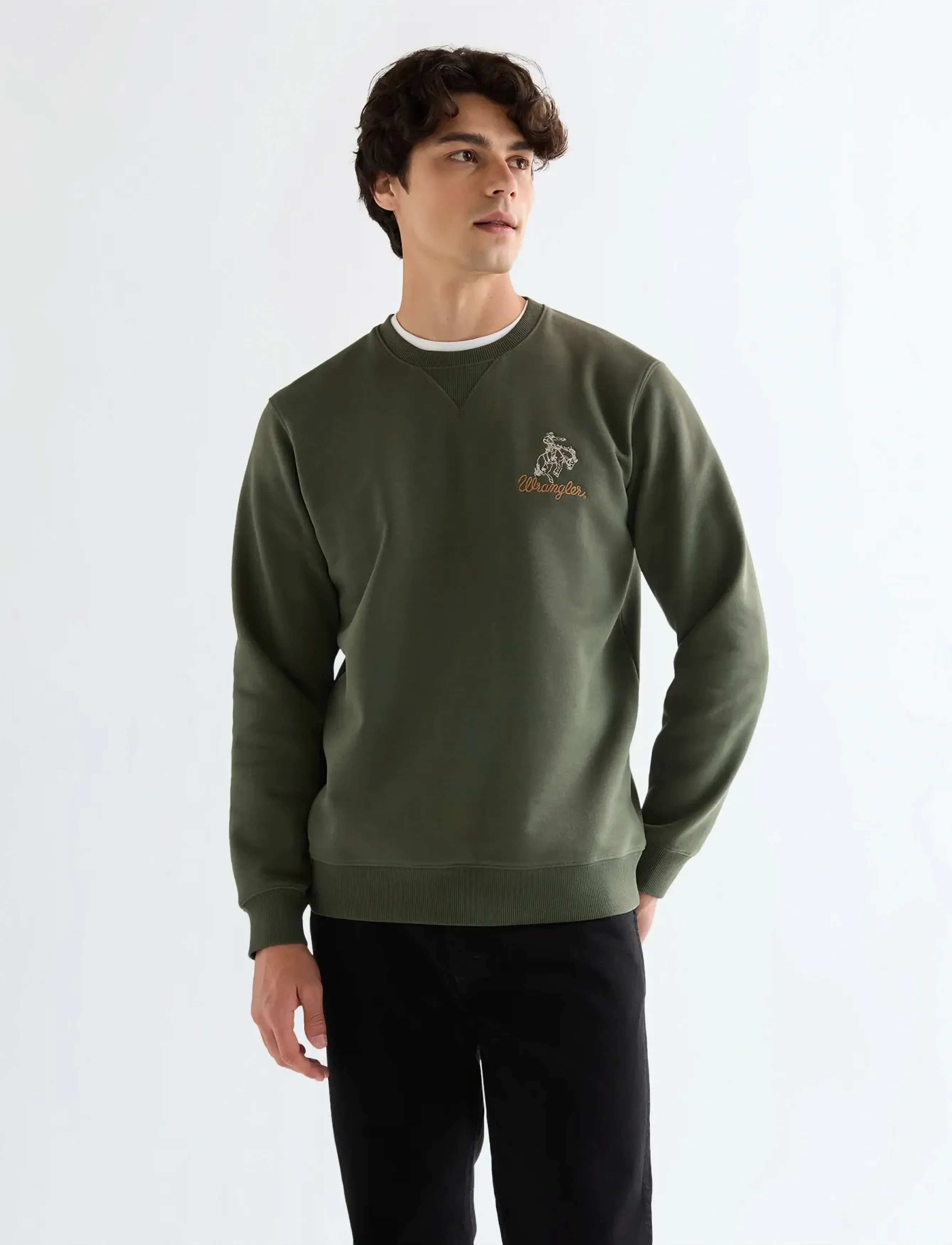 Wrangler EMBROIDERY CREW - Sweatshirts - DEEP DEPTHS / khaki/green