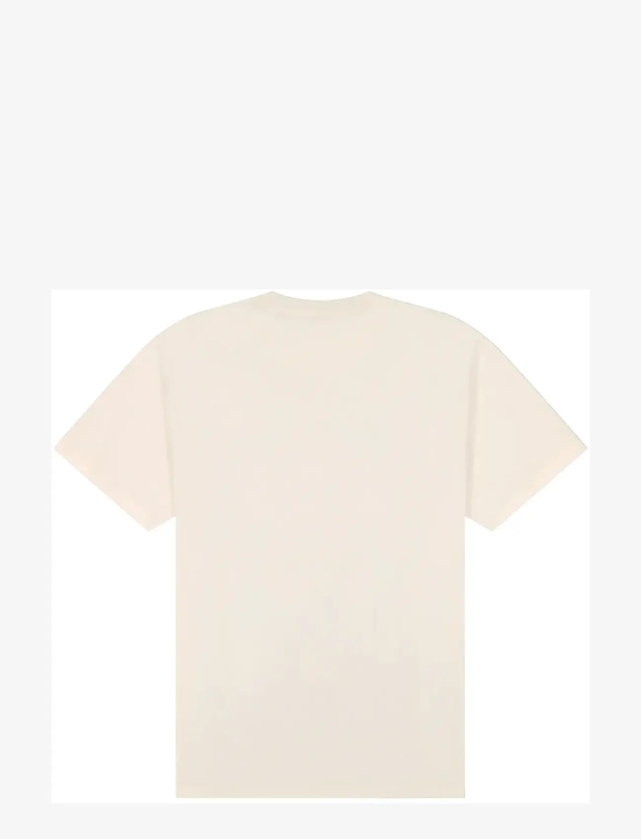 Wrangler - GIRLFRIEND TEE - t-särgid - worn white - 2