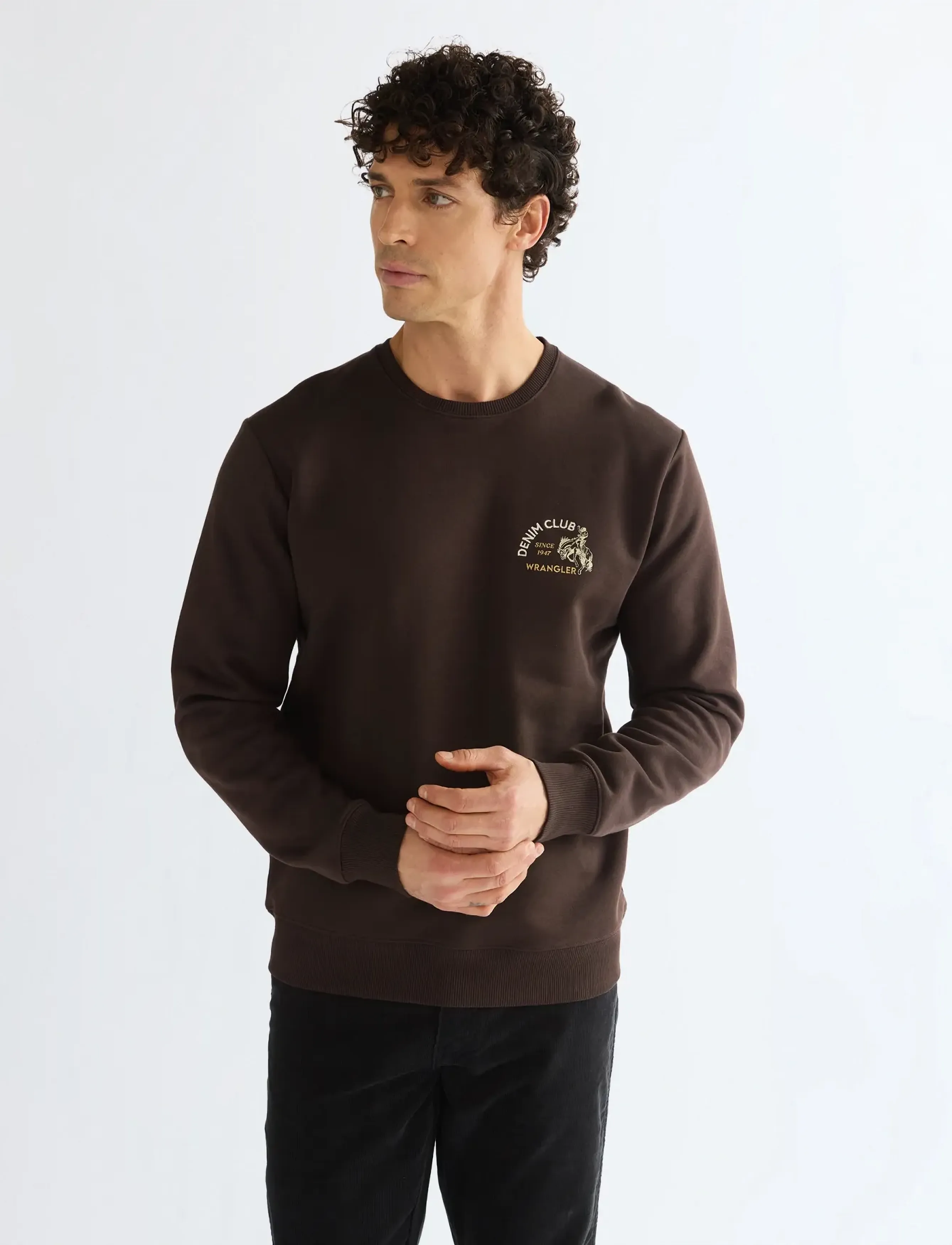 Wrangler SMALL GRAPHIC CREW - Tøj - CHOCOLATE TORTE / brown