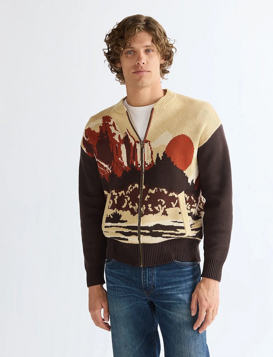 Wrangler - FULL ZIP CARDIGAN - strickjacken - desert scenic - 0
