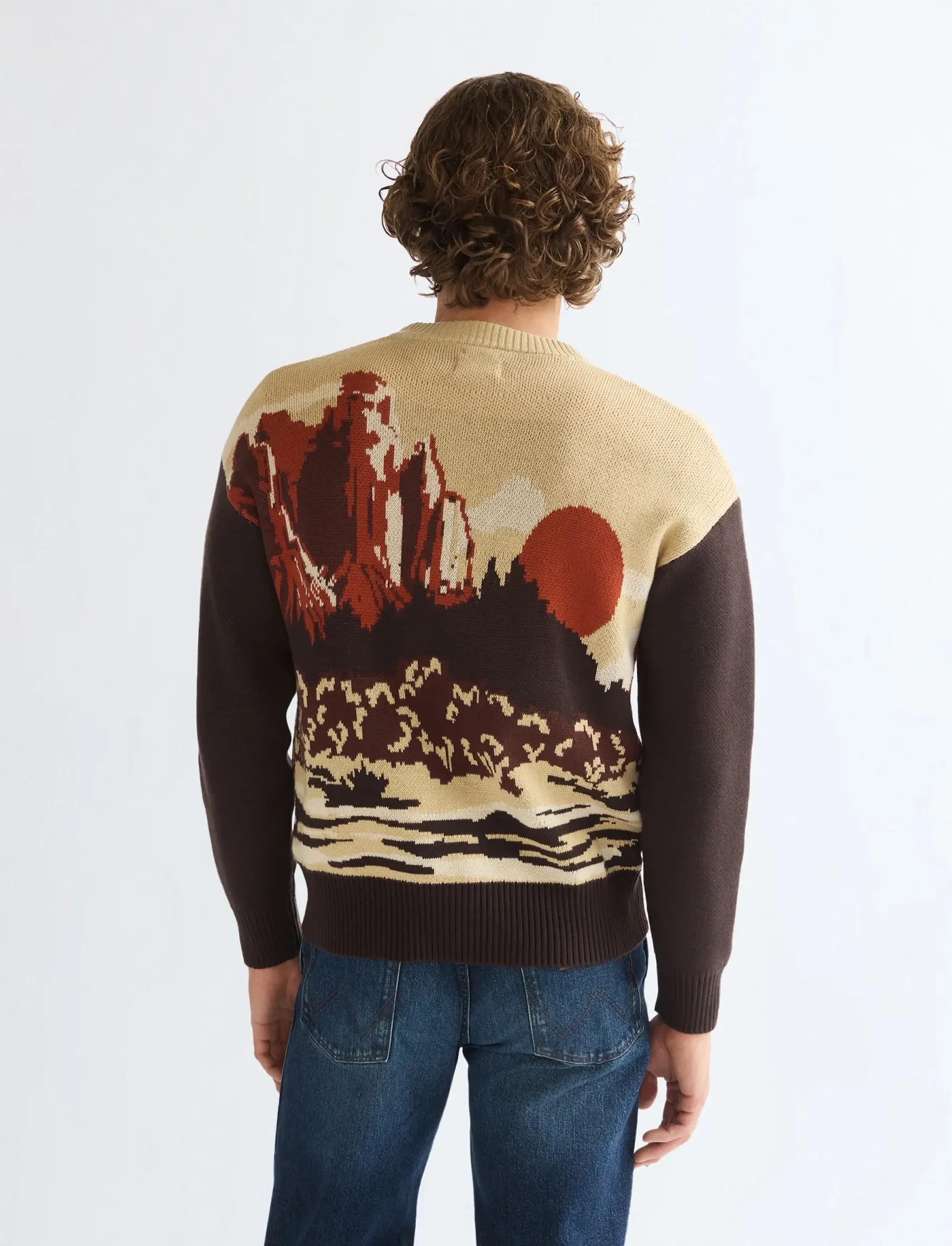 Wrangler - FULL ZIP CARDIGAN - desert scenic - 4