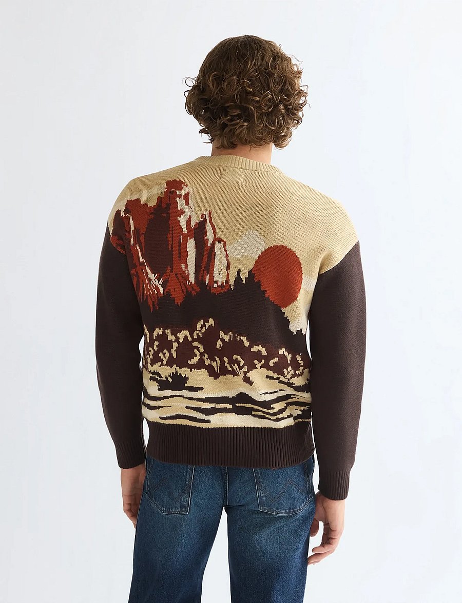 Wrangler - FULL ZIP CARDIGAN - strickjacken - desert scenic - 4