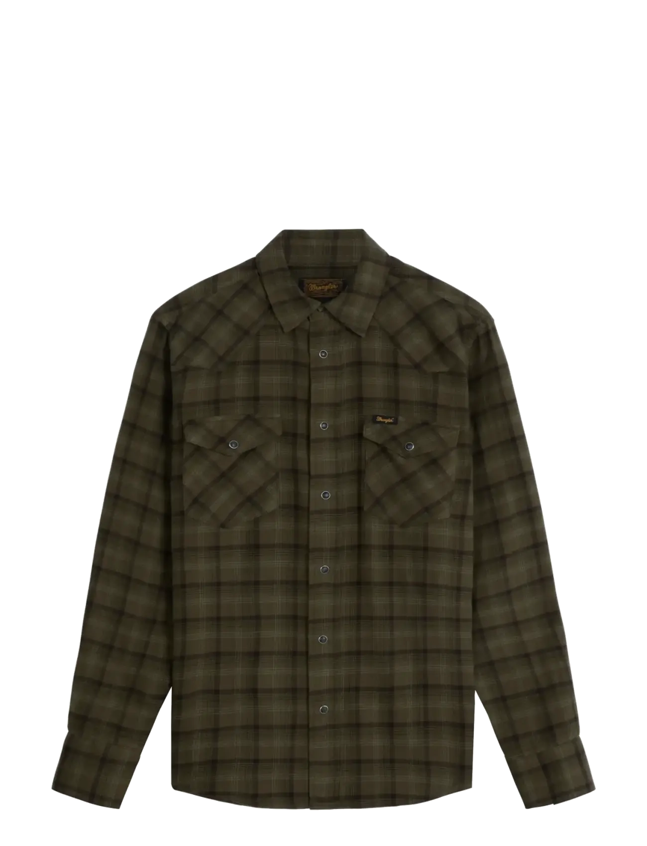 OLIVE NIGHT