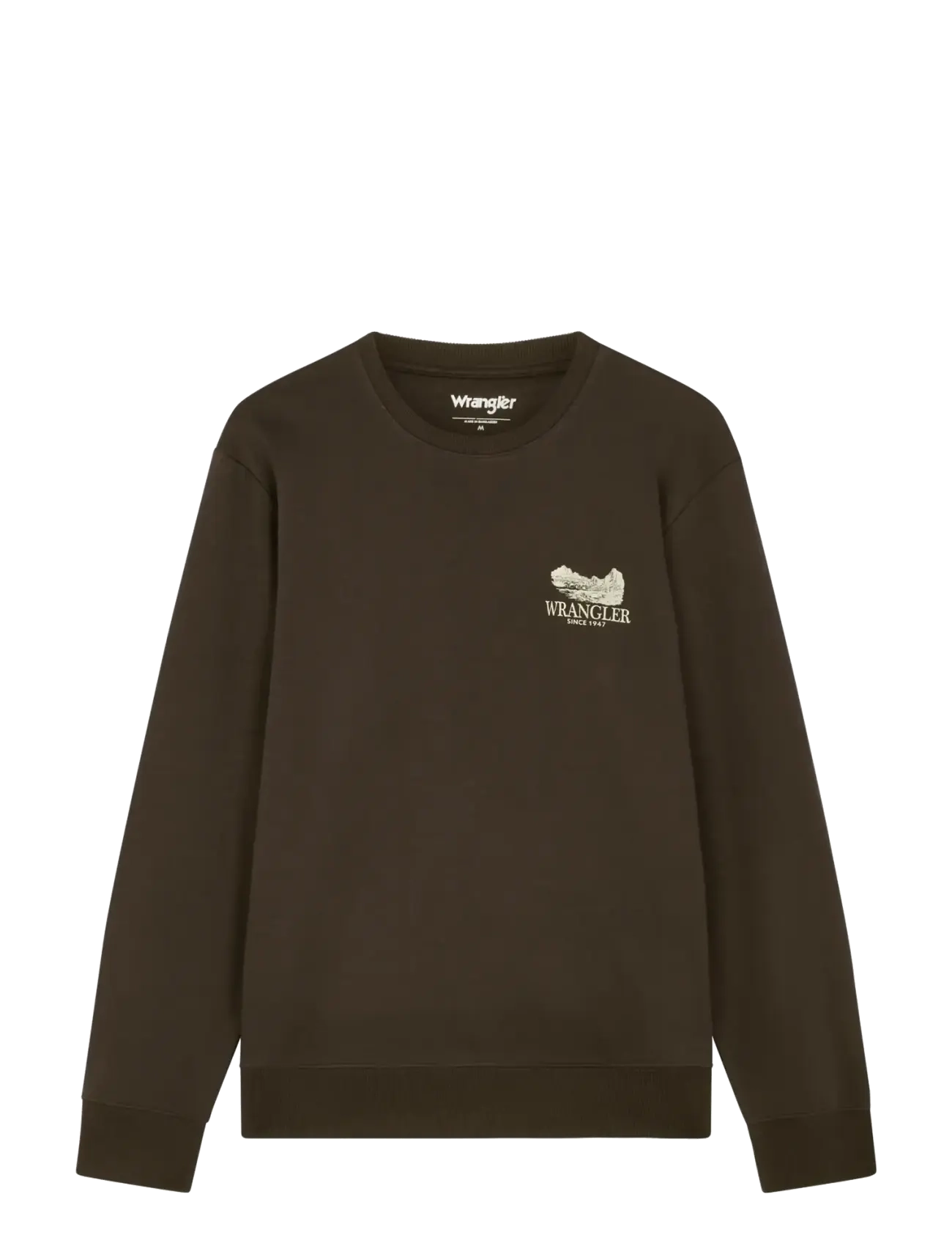Wrangler GRAPHIC CREW - Dressipluusid ja kapuutsiga dressipluusid - CHOCOLATE TORTE / brown