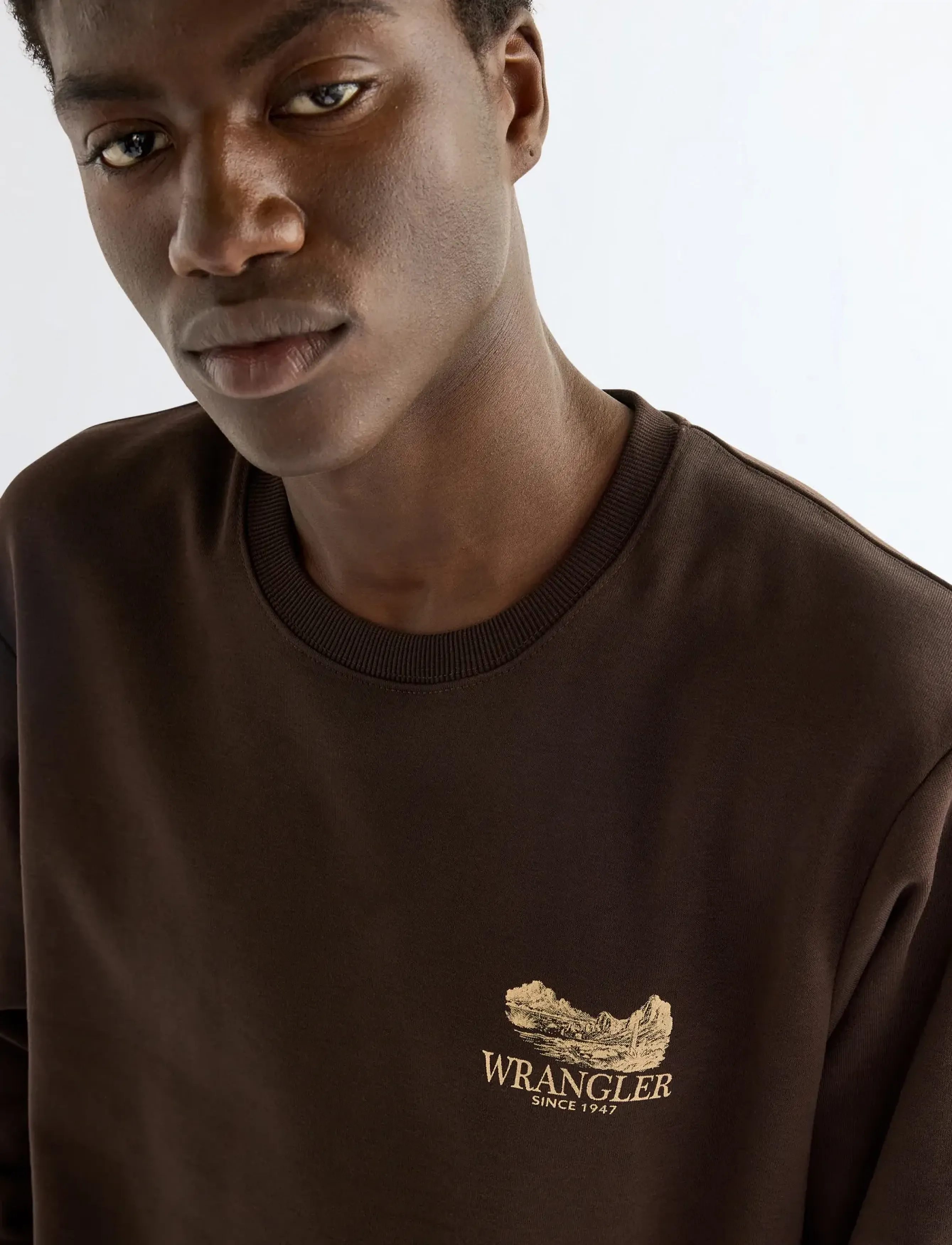 Wrangler - GRAPHIC CREW - sügisene kokkuhoid - chocolate torte - 5