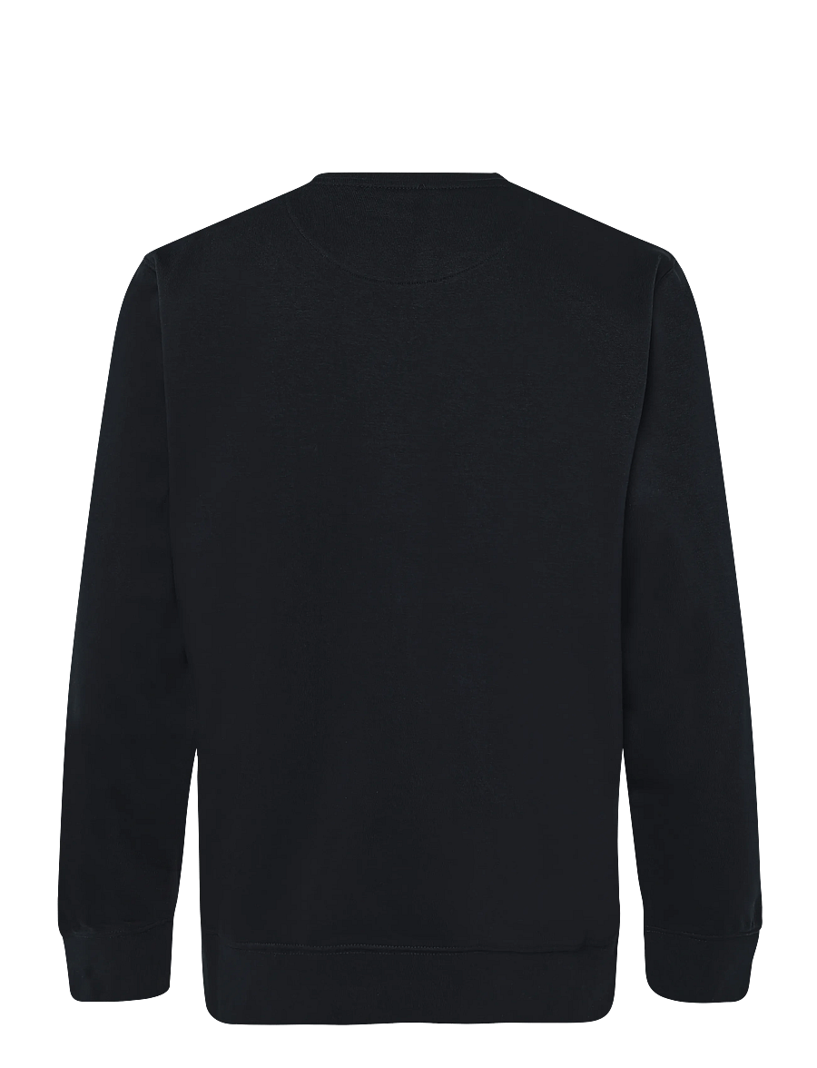 Wrangler - SIGN OFF CREW - sweatshirts - black - 2