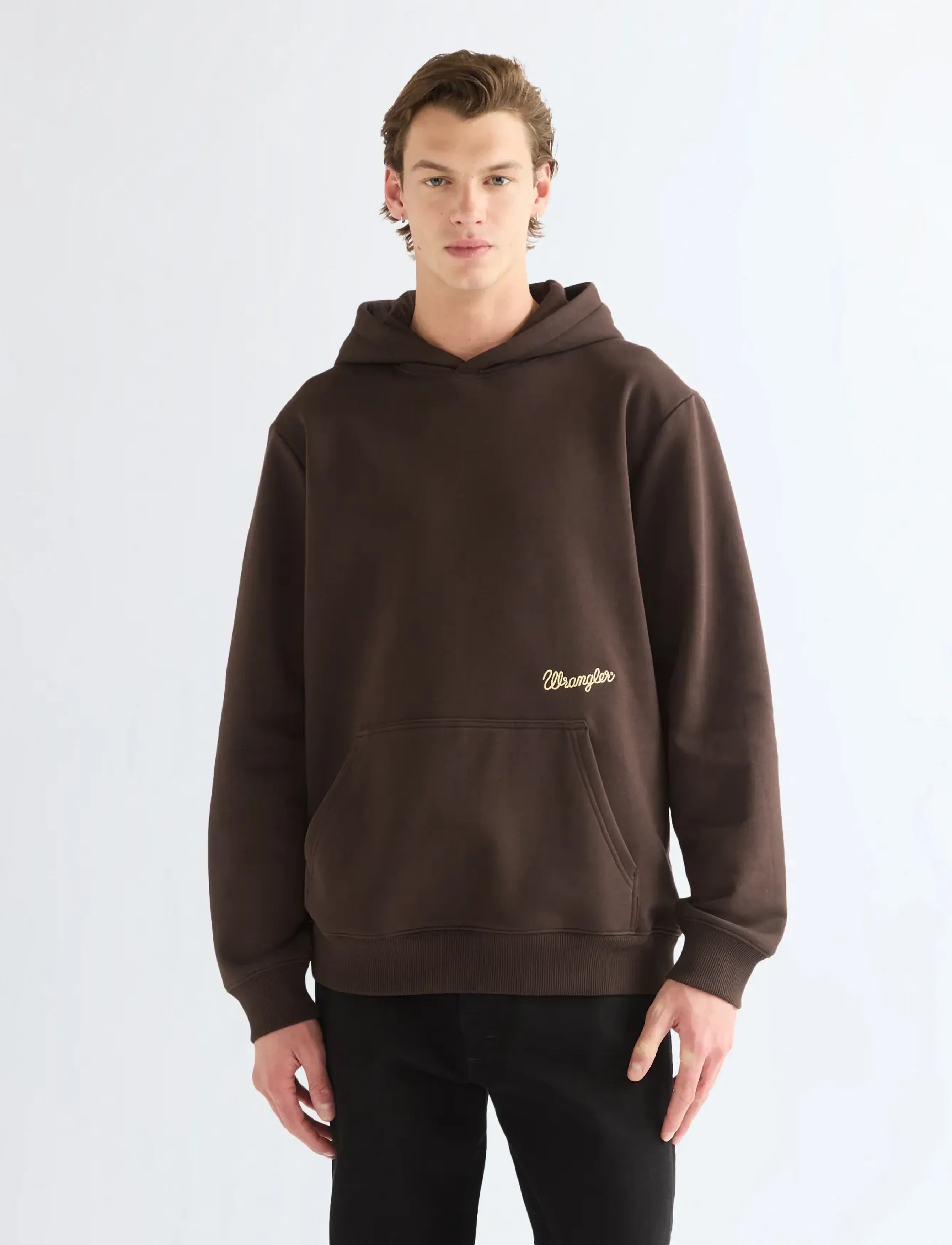 Wrangler EMBROIDERY HOODIE - Riided - CHOCOLATE TORTE / brown