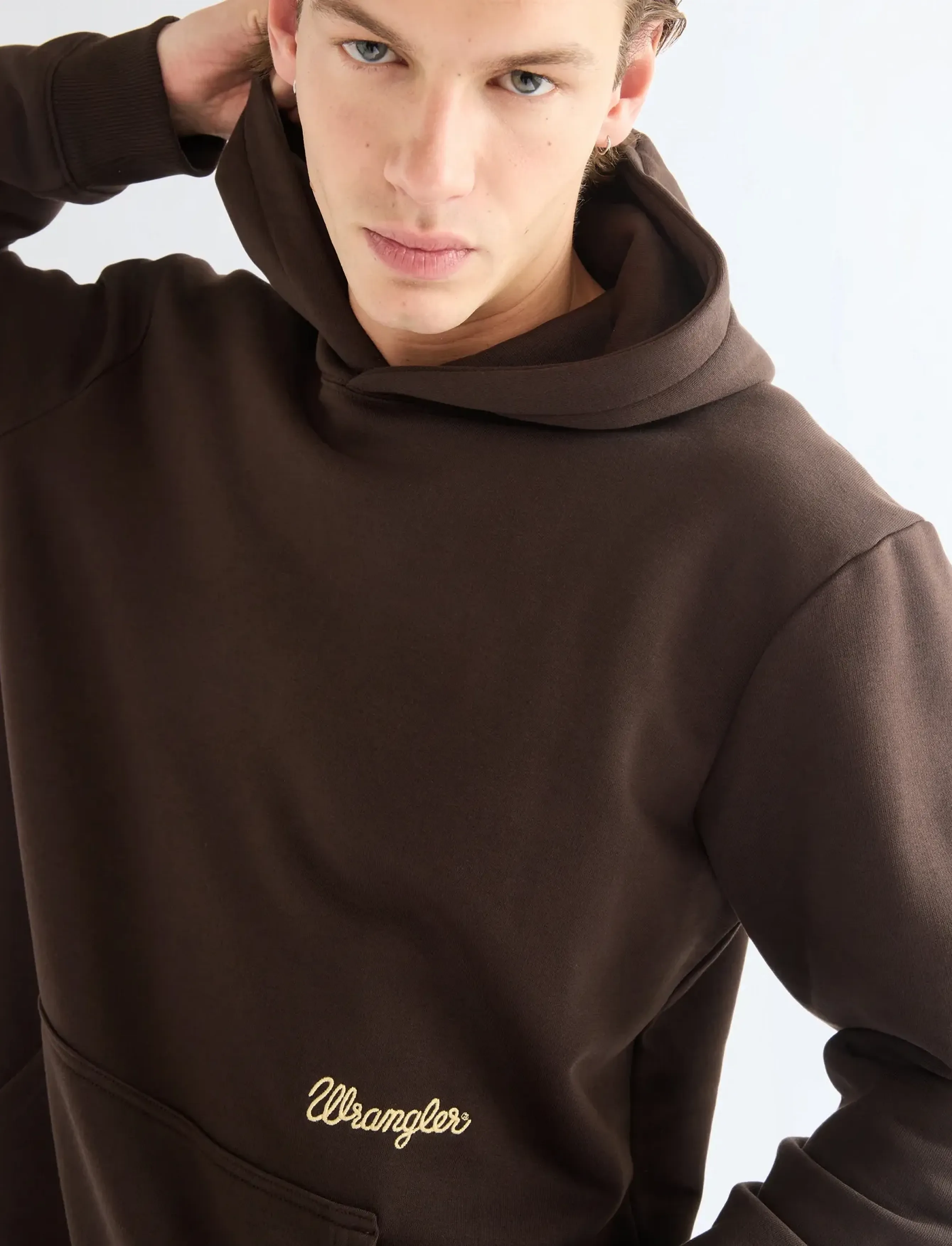 Wrangler - EMBROIDERY HOODIE - kapuutsiga pusad - chocolate torte - 5